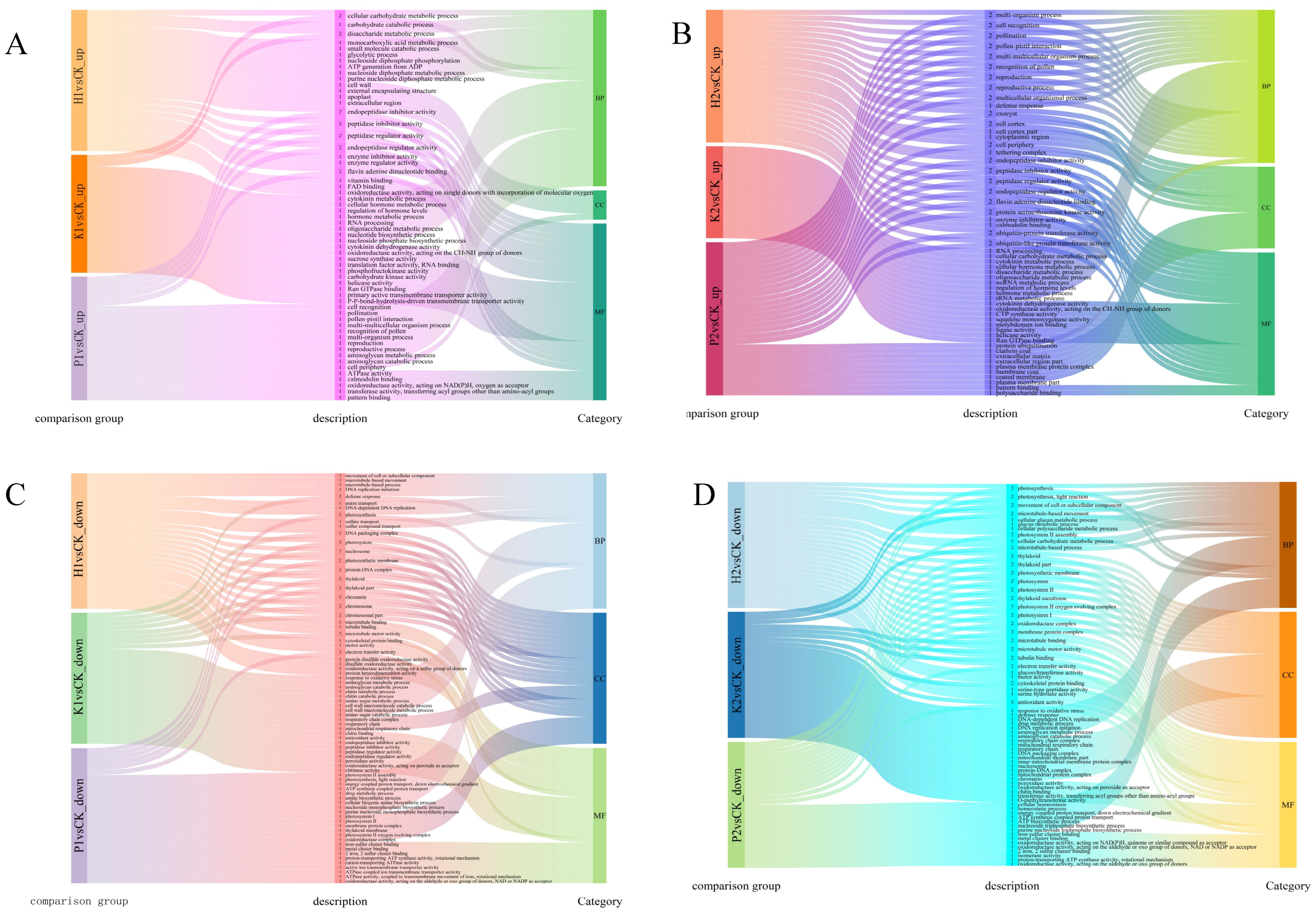 Forests 15 01580 g005