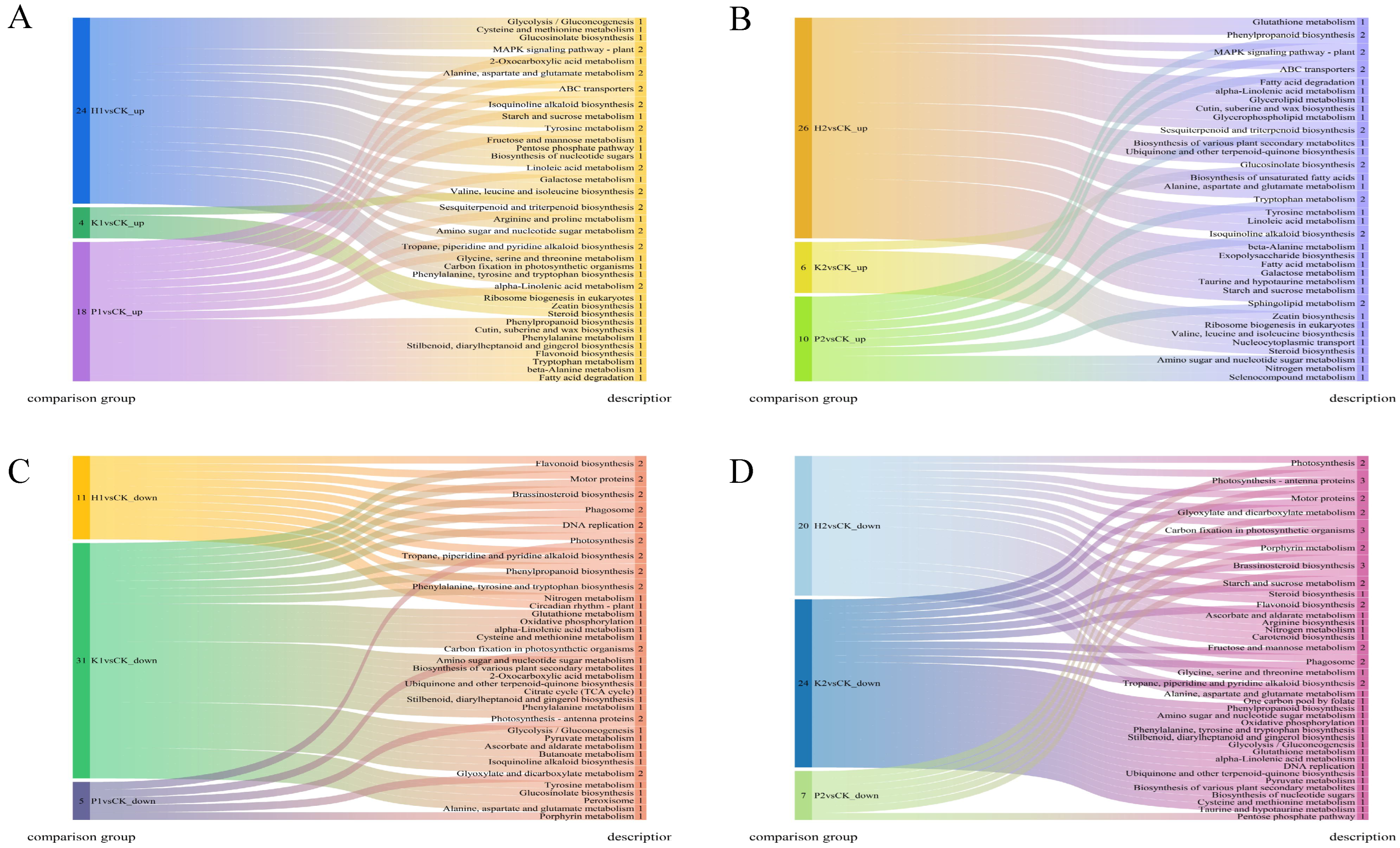Forests 15 01580 g006