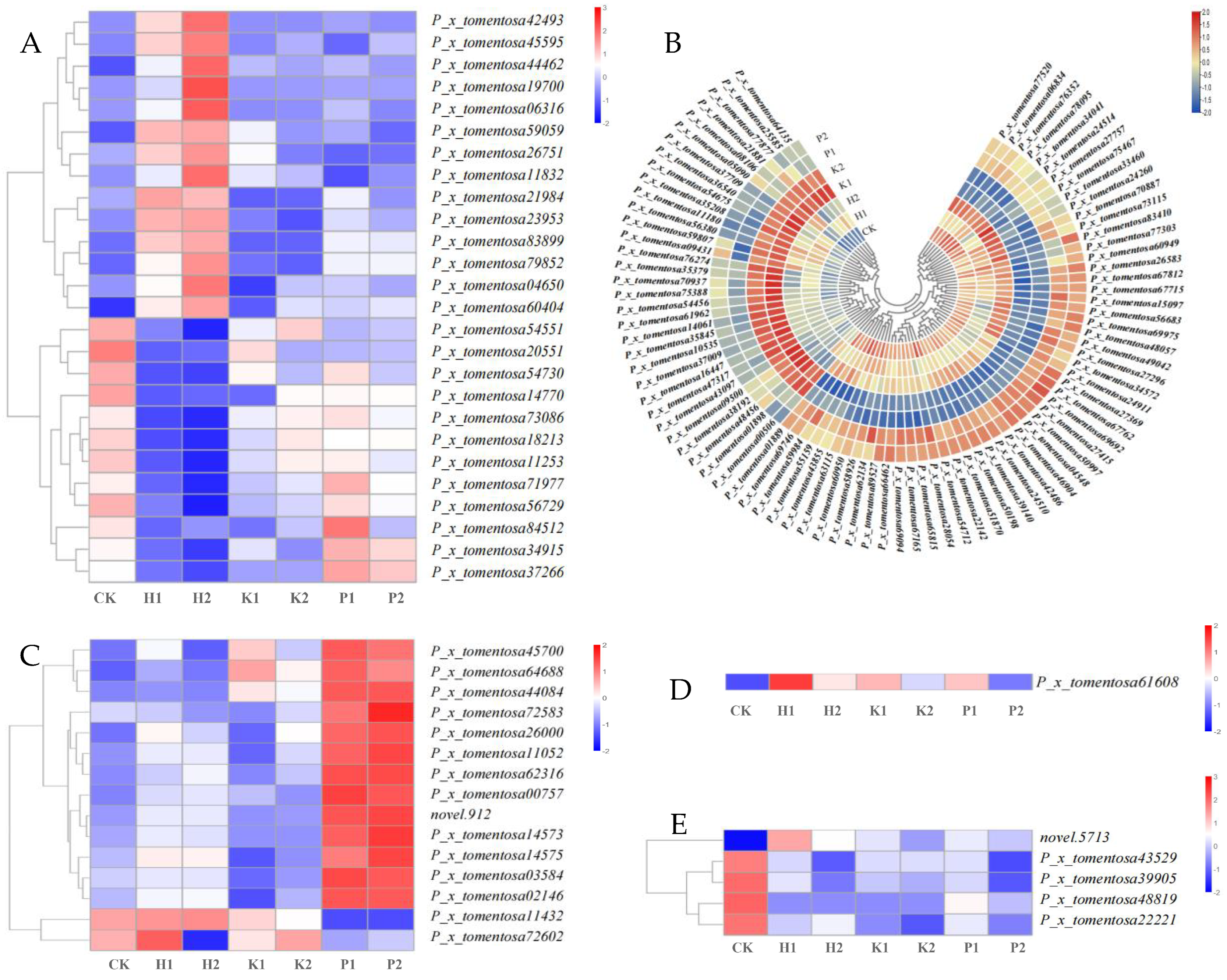 Forests 15 01580 g007