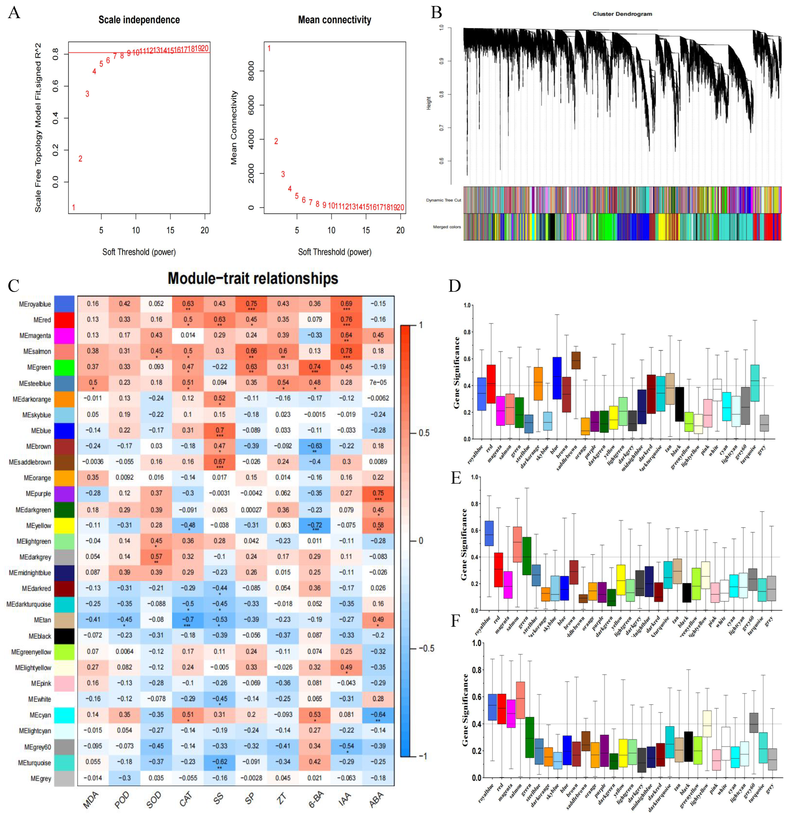 Forests 15 01580 g008