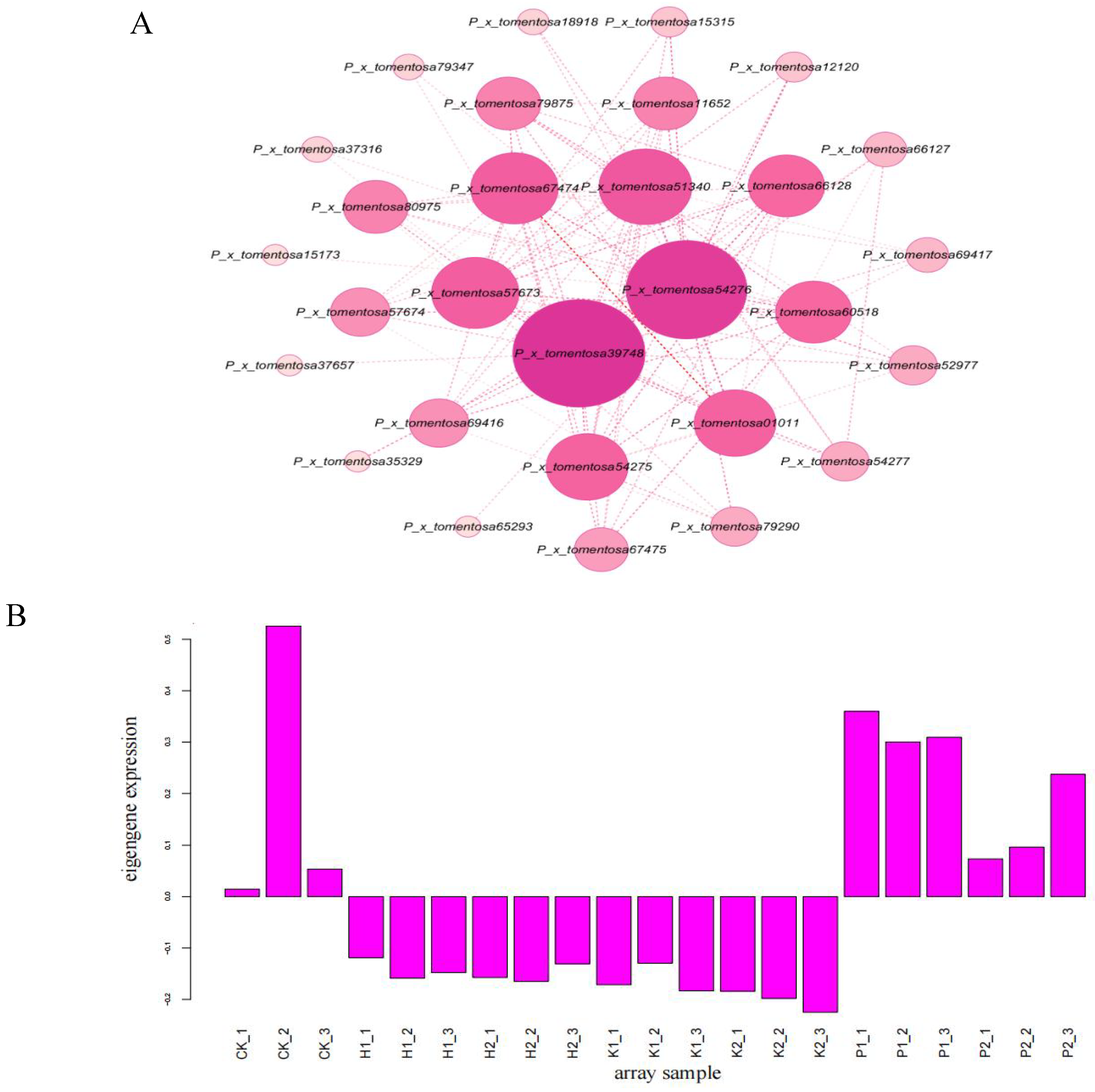 Forests 15 01580 g009