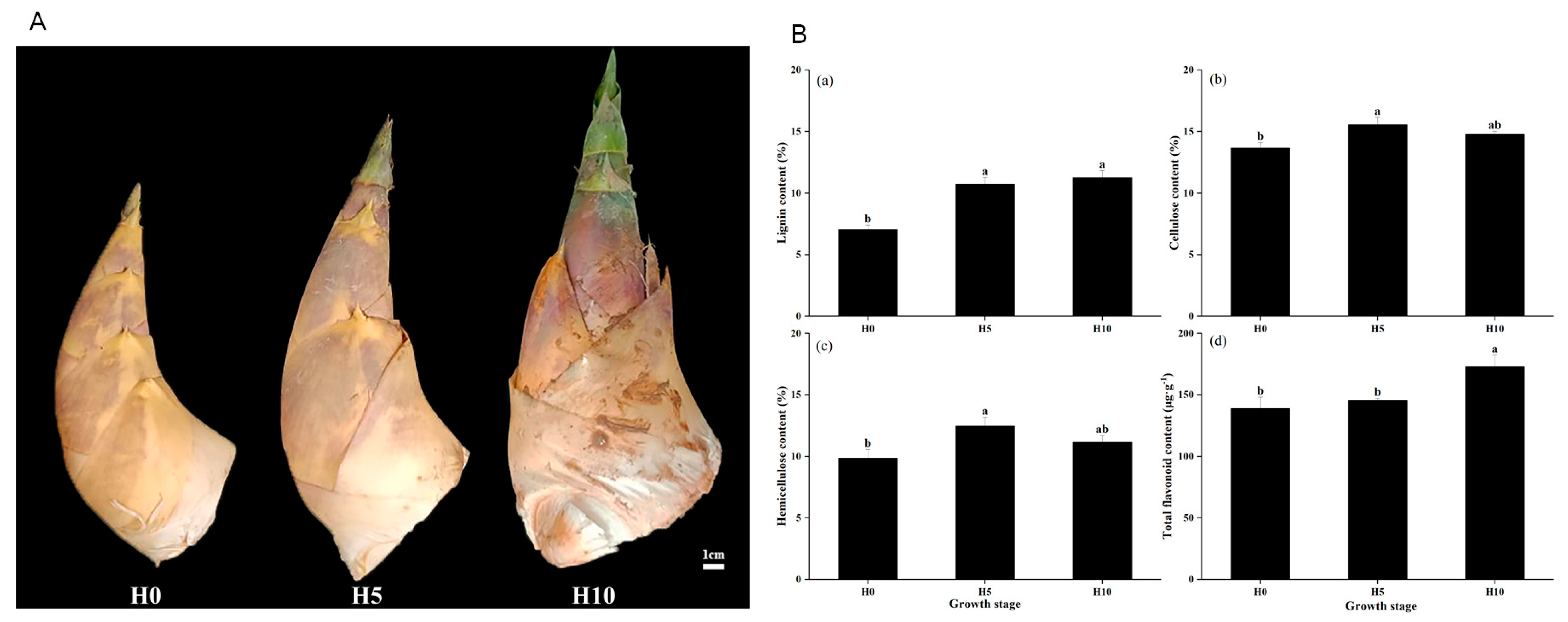 Forests 15 01582 g001