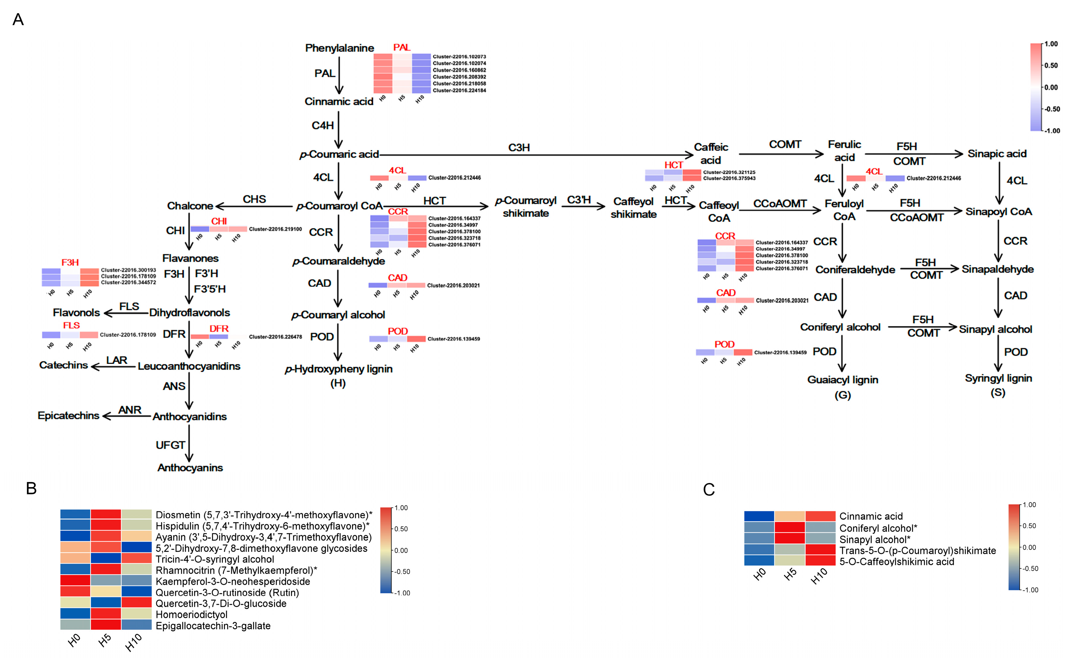 Forests 15 01582 g006