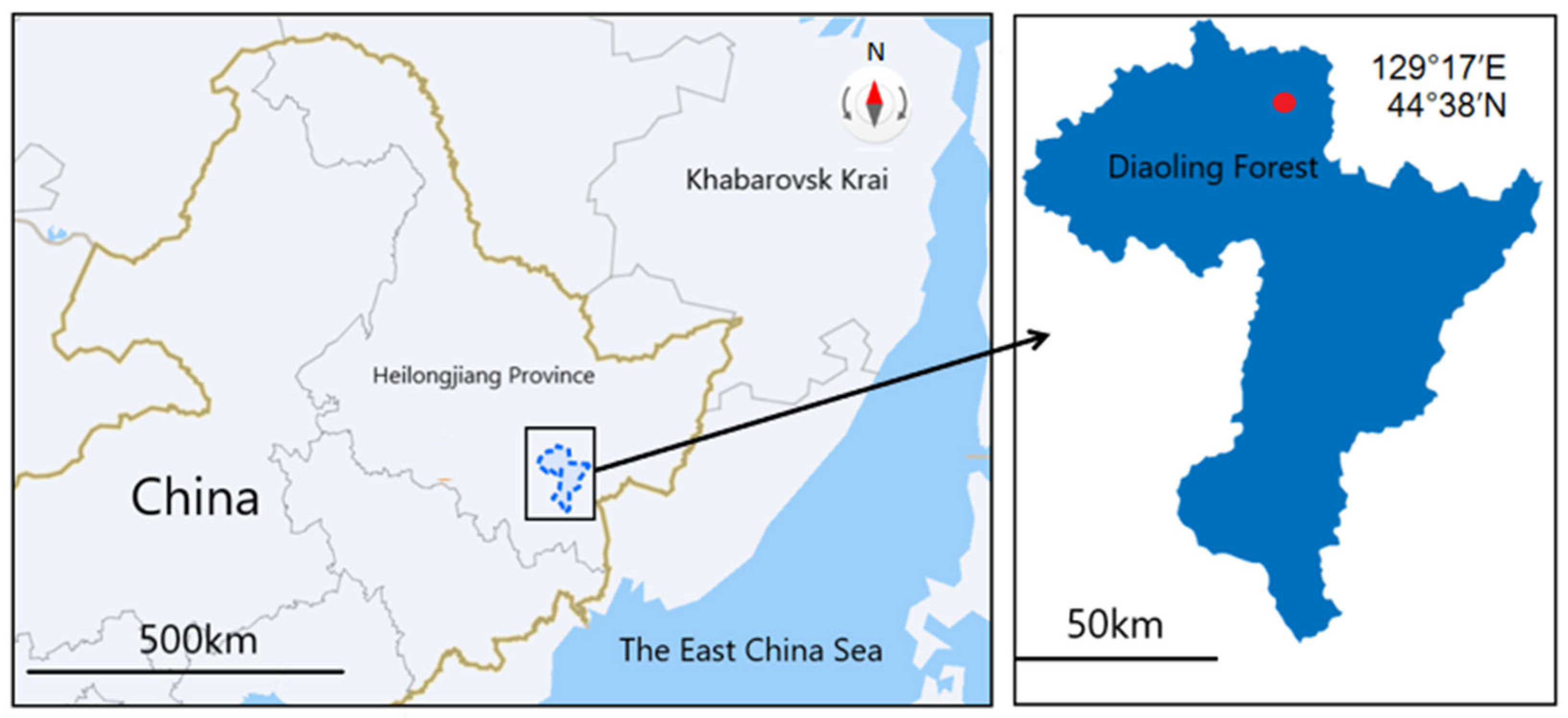 Forests 15 01586 g001 Forests 15 01586 g001