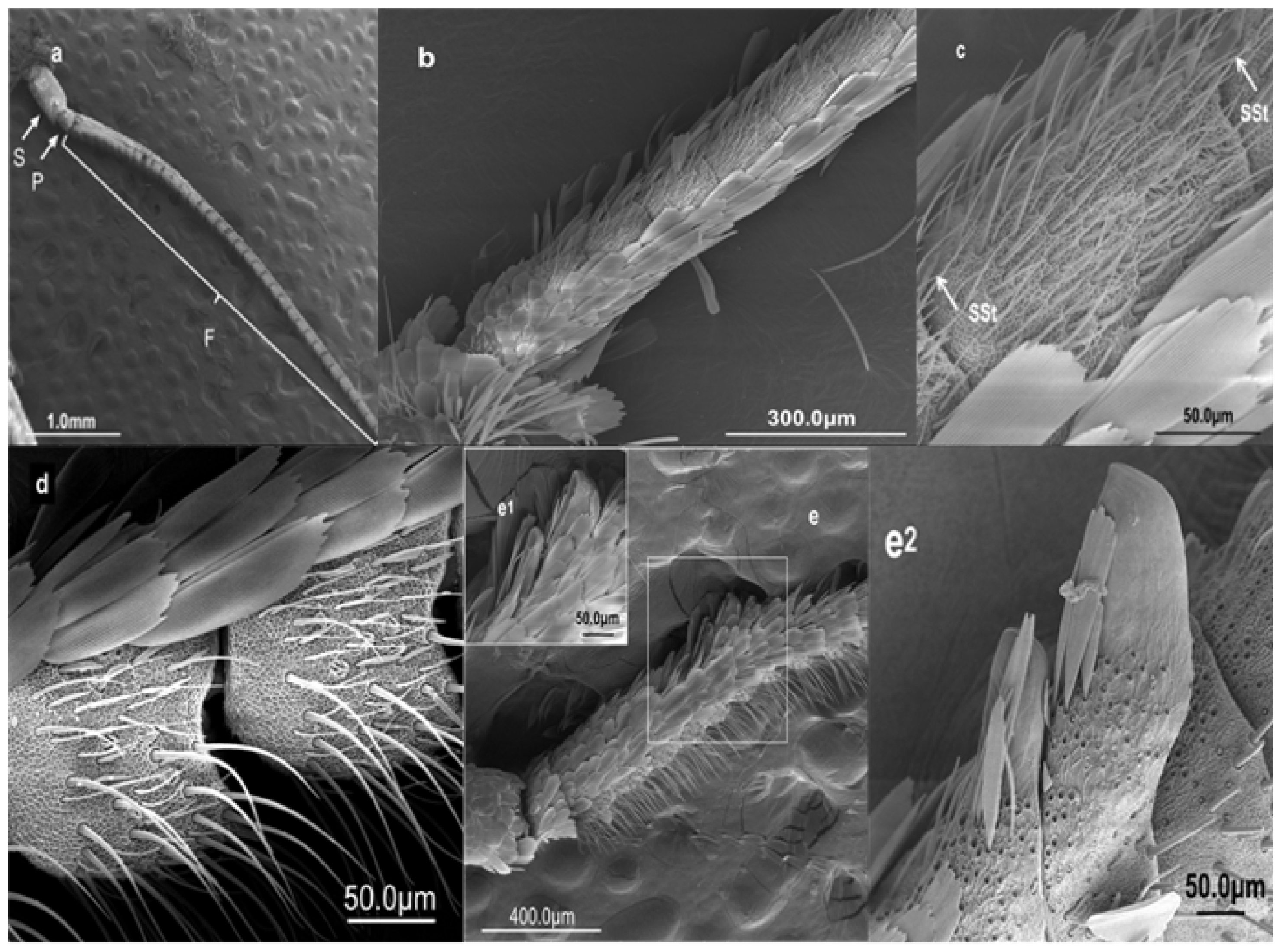 Forests 15 01586 g002 Forests 15 01586 g002