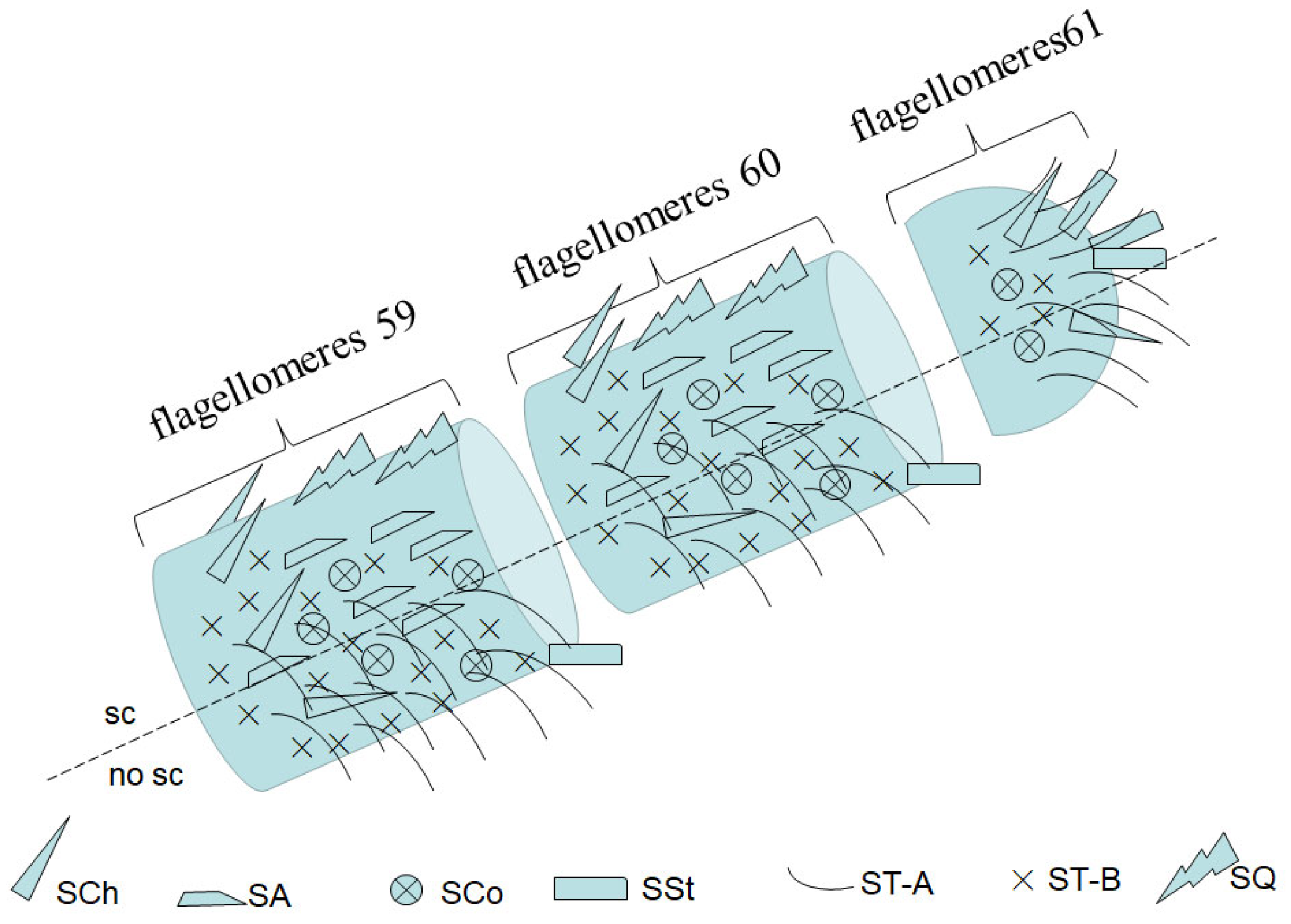 Forests 15 01586 g003 Forests 15 01586 g003