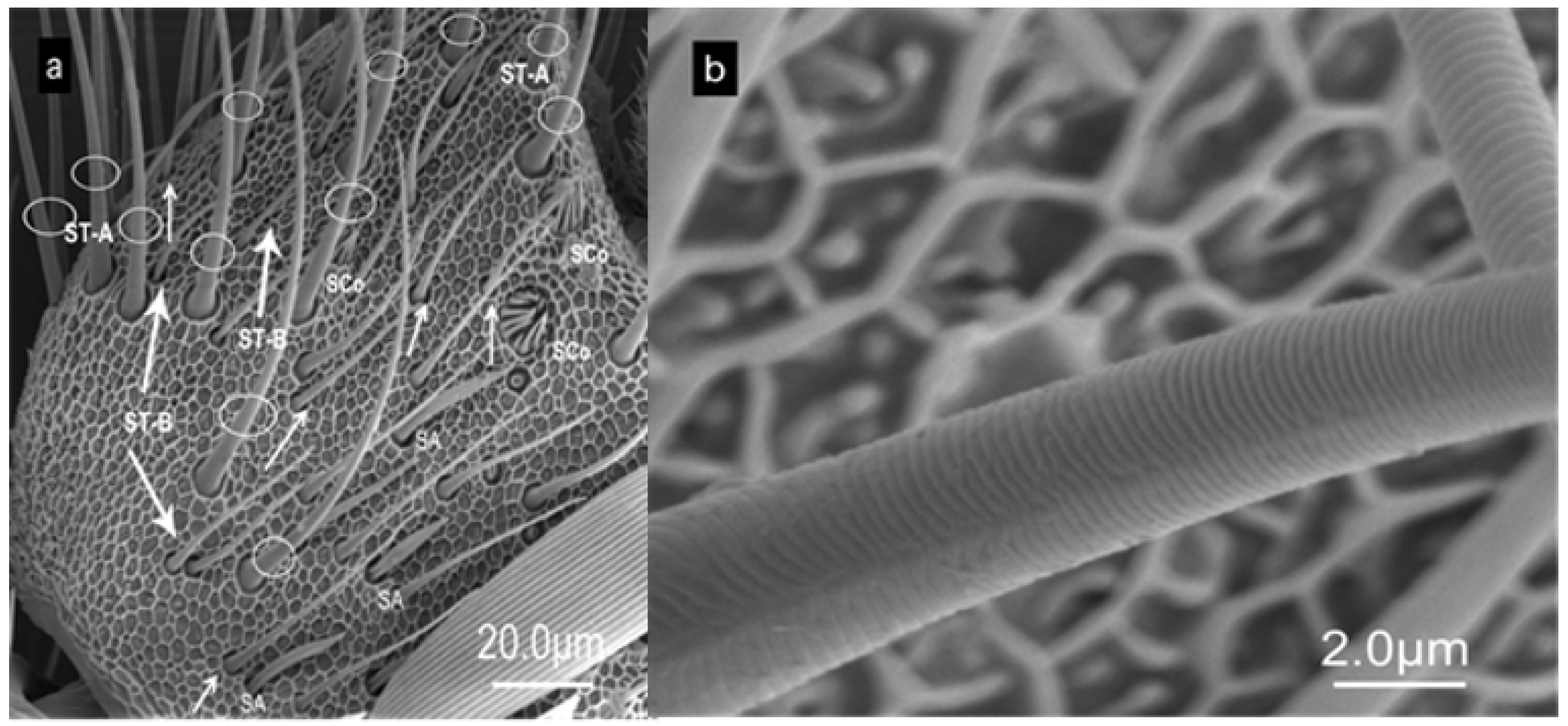 Forests 15 01586 g004 Forests 15 01586 g004