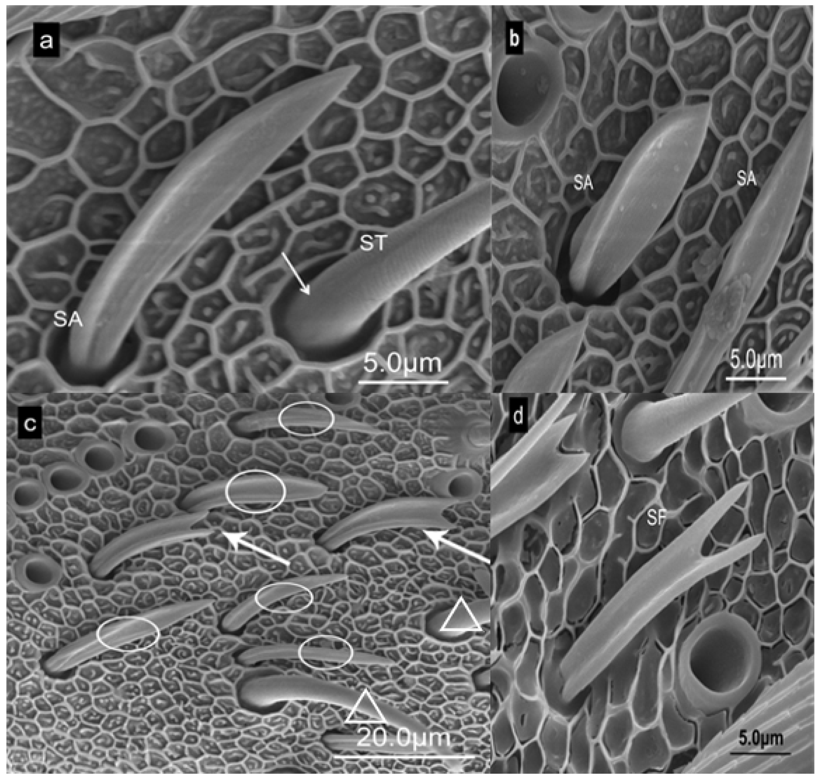 Forests 15 01586 g006 Forests 15 01586 g006