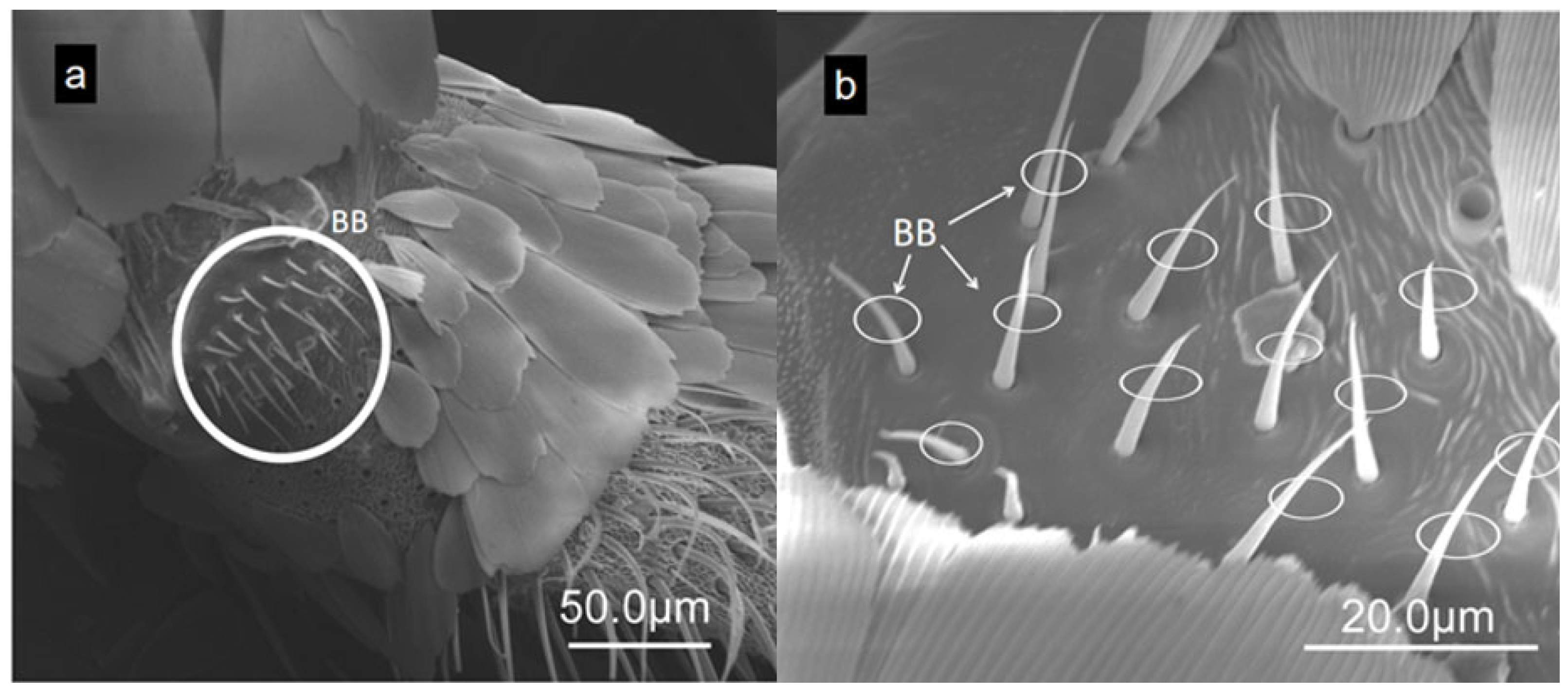 Forests 15 01586 g009 Forests 15 01586 g009