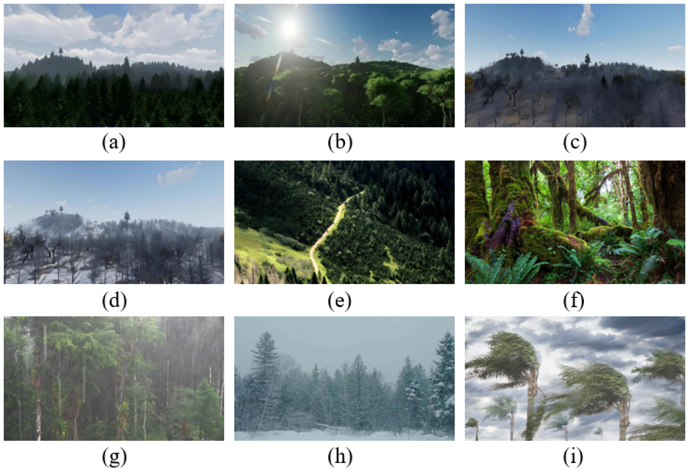 Forests 15 01587 g004