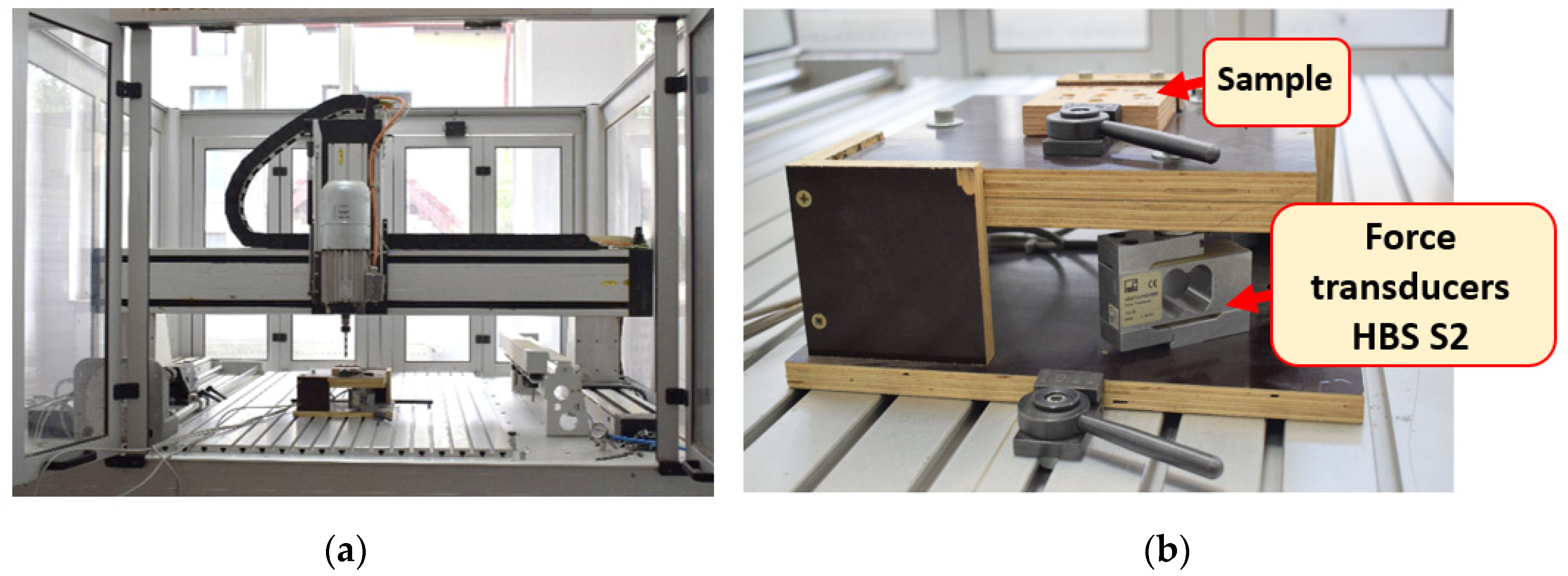 Forests 15 01600 g003