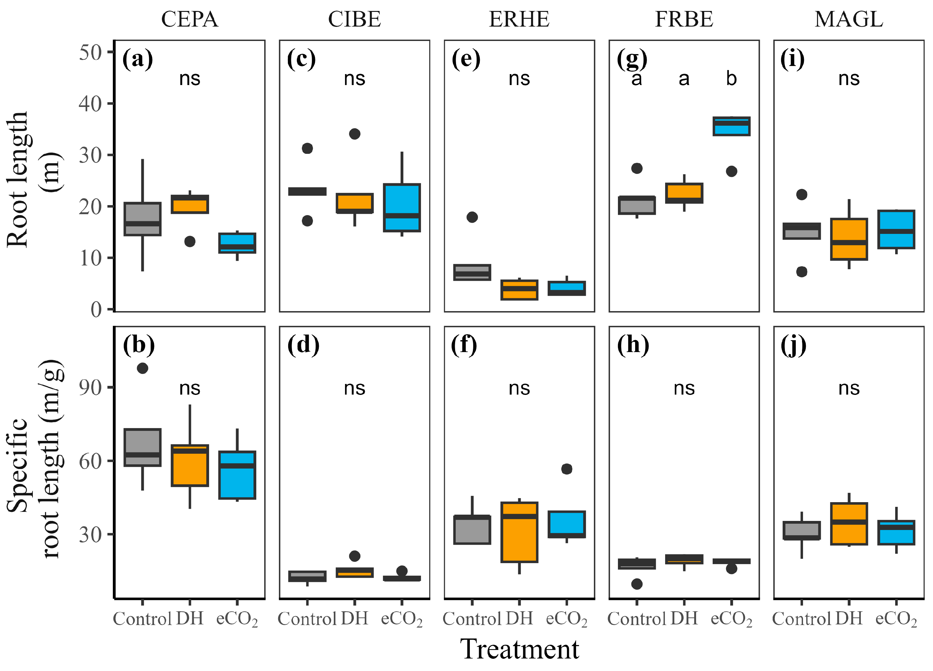 Forests 15 01607 g005