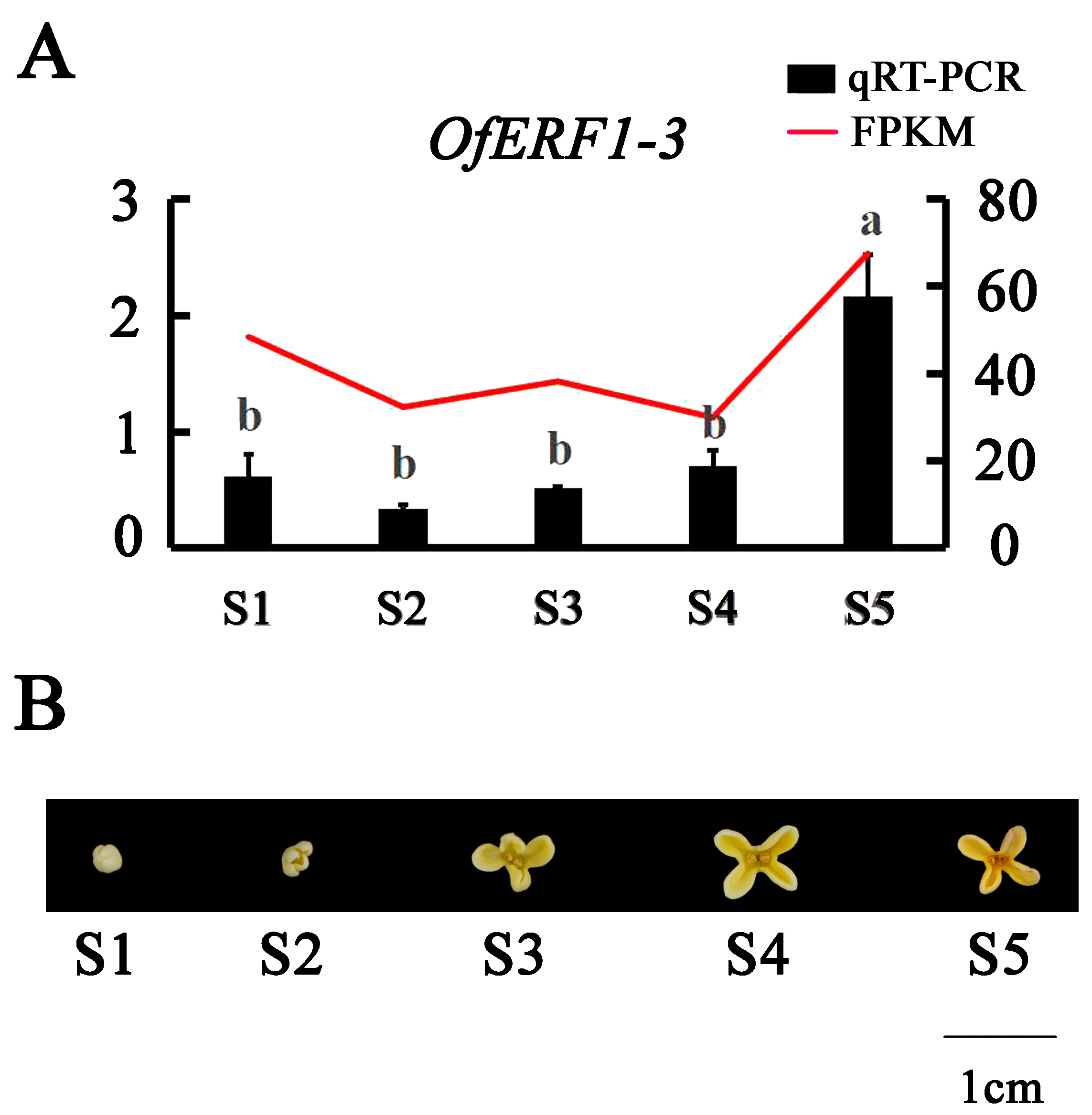 Forests 15 01619 g002