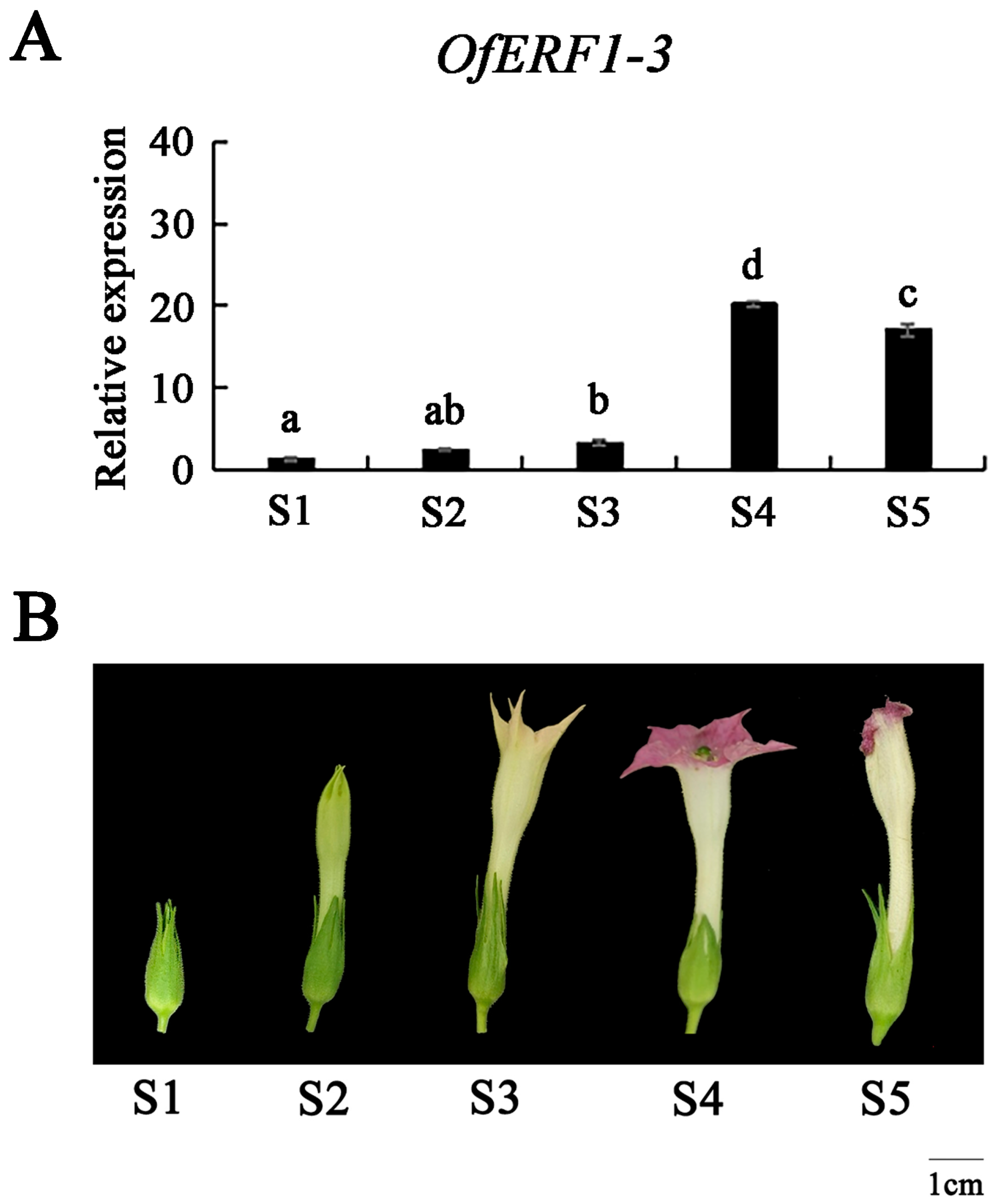 Forests 15 01619 g003