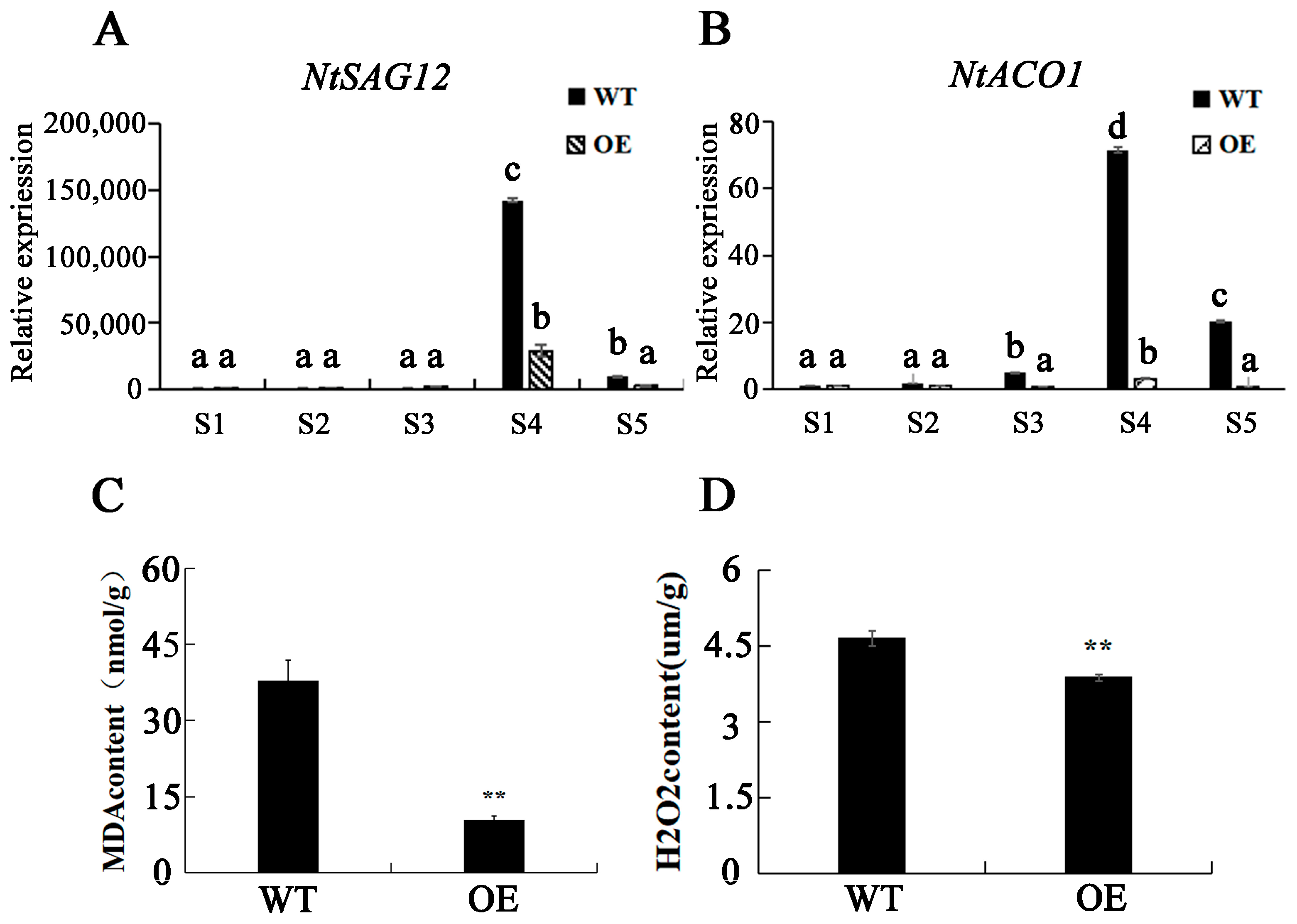 Forests 15 01619 g005