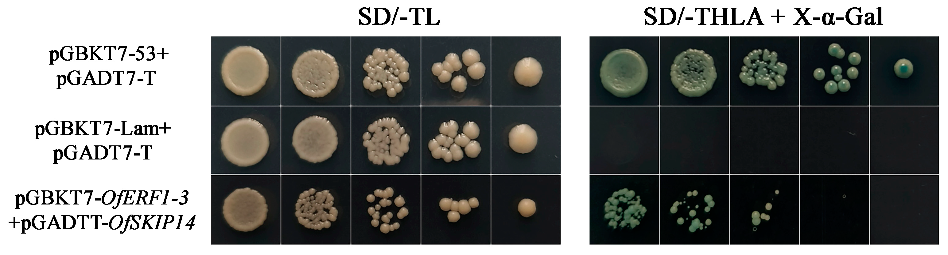 Forests 15 01619 g008