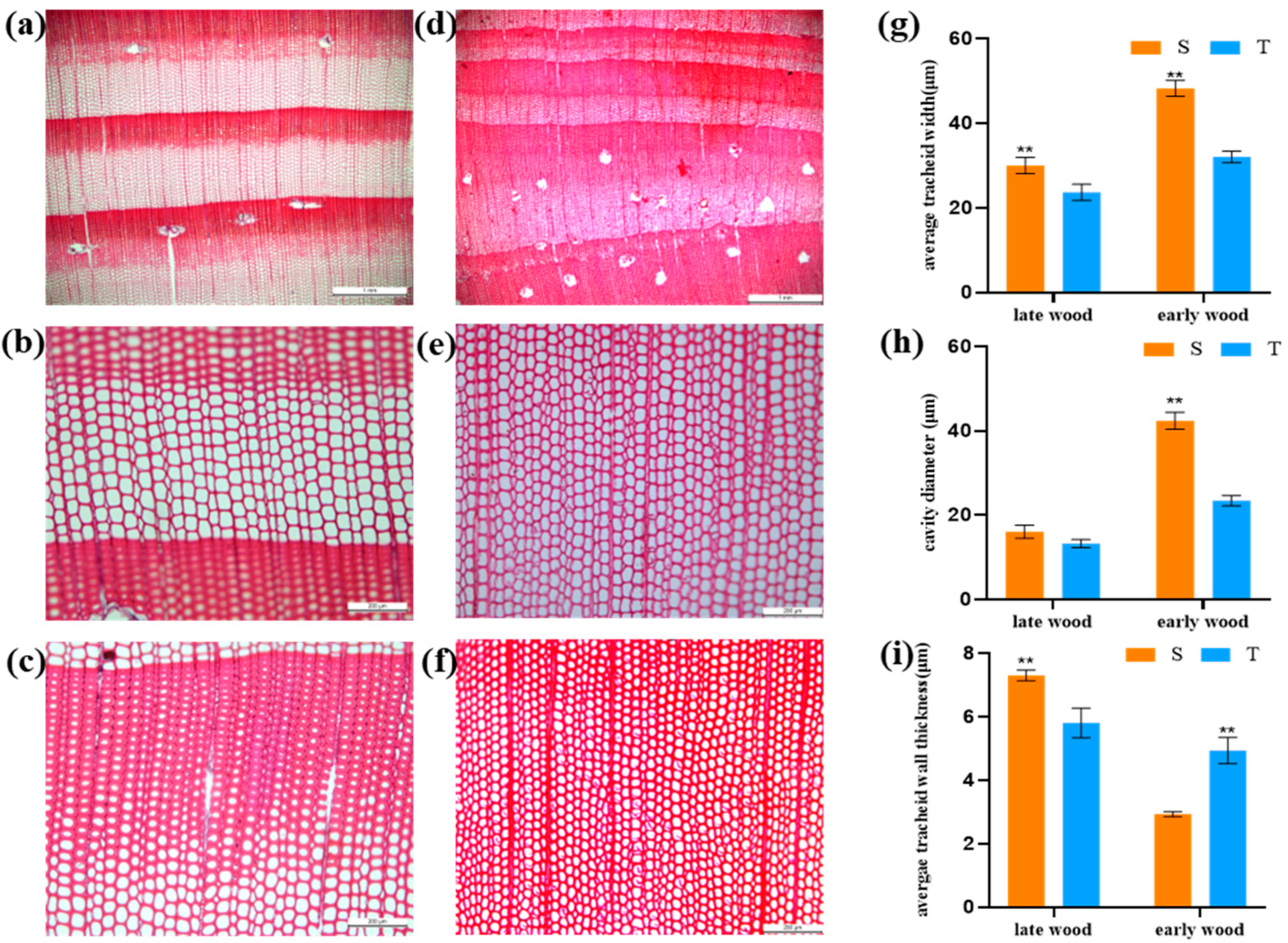Forests 15 01626 g002