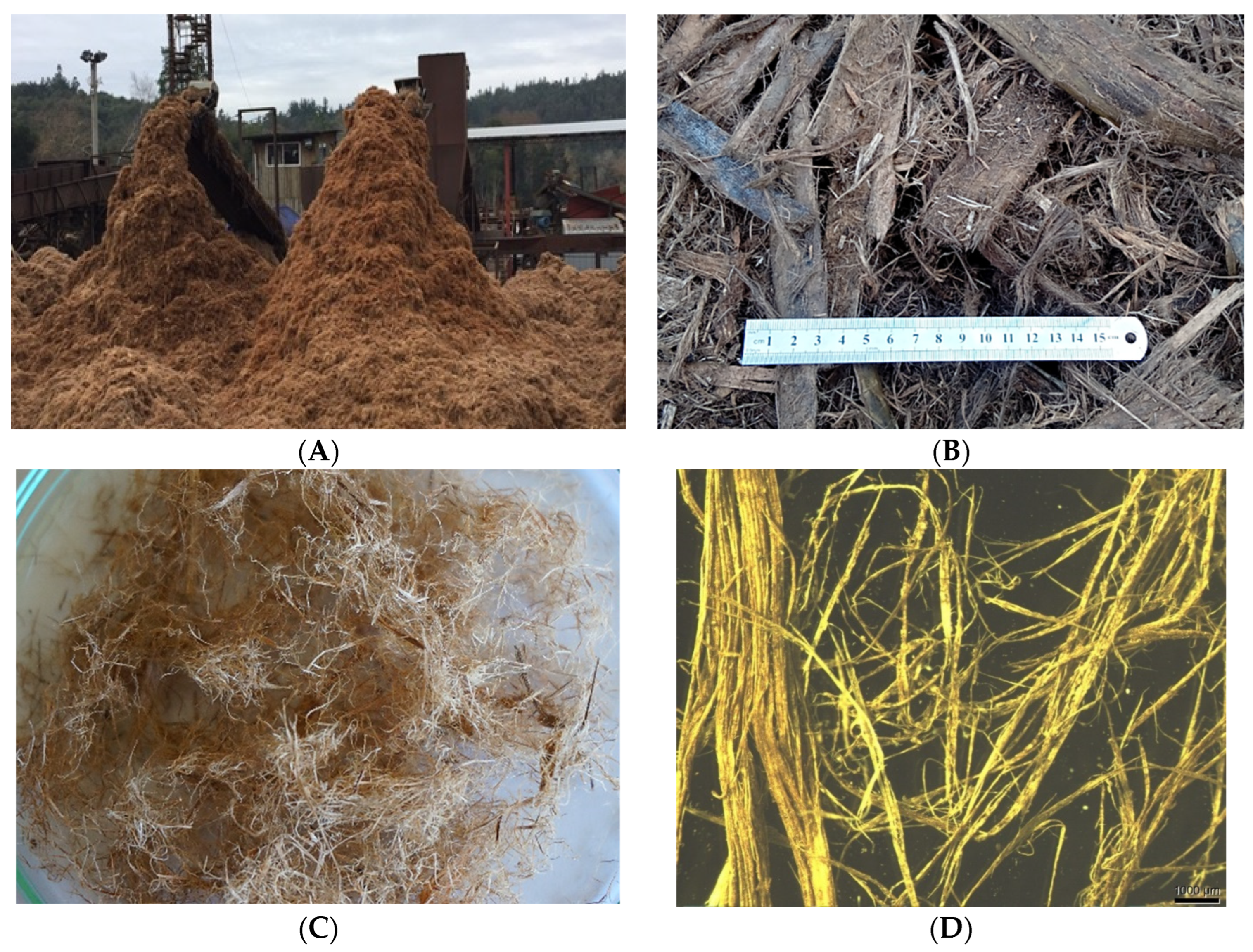 Forests 15 01628 g001