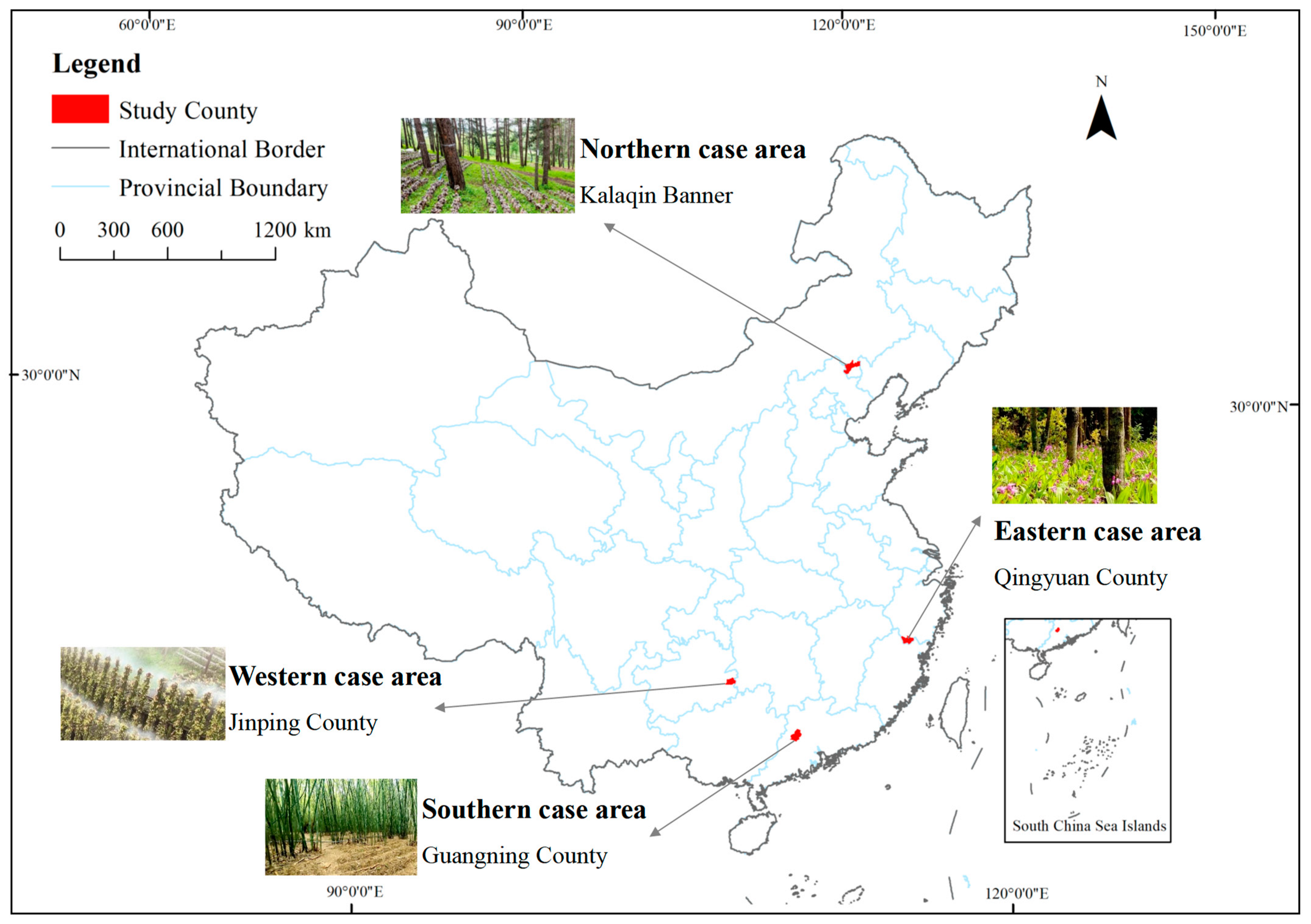 Forests 15 01629 g003