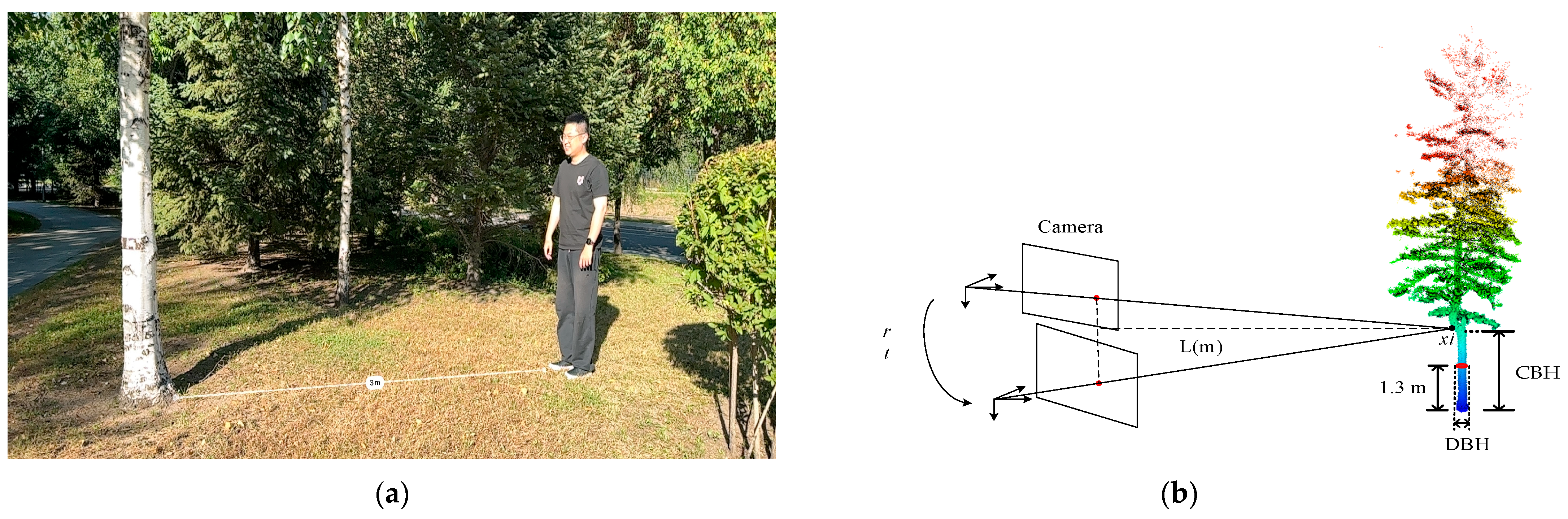 Forests 15 01635 g002