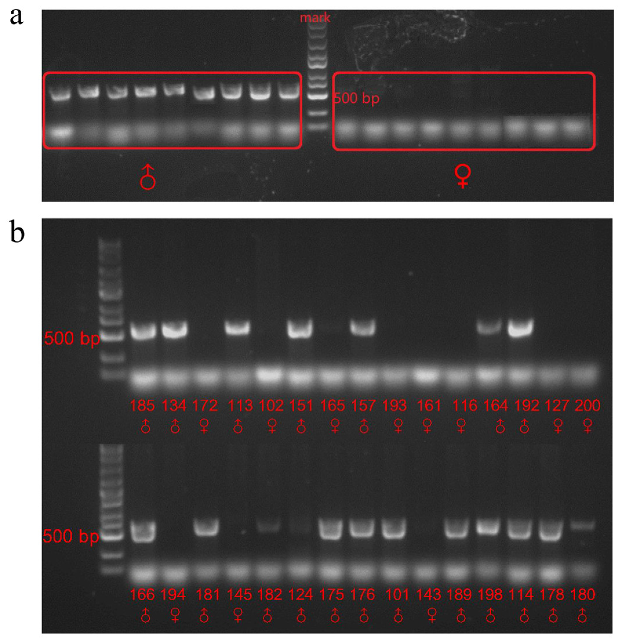 Forests 15 01636 g001