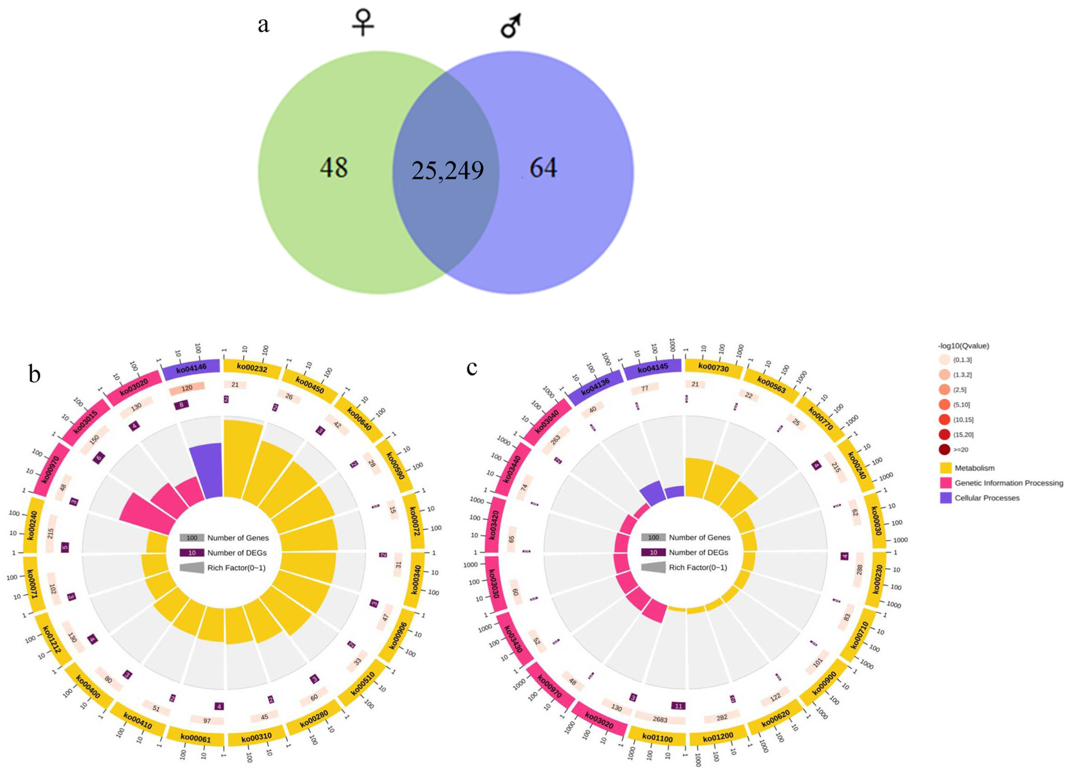 Forests 15 01636 g006