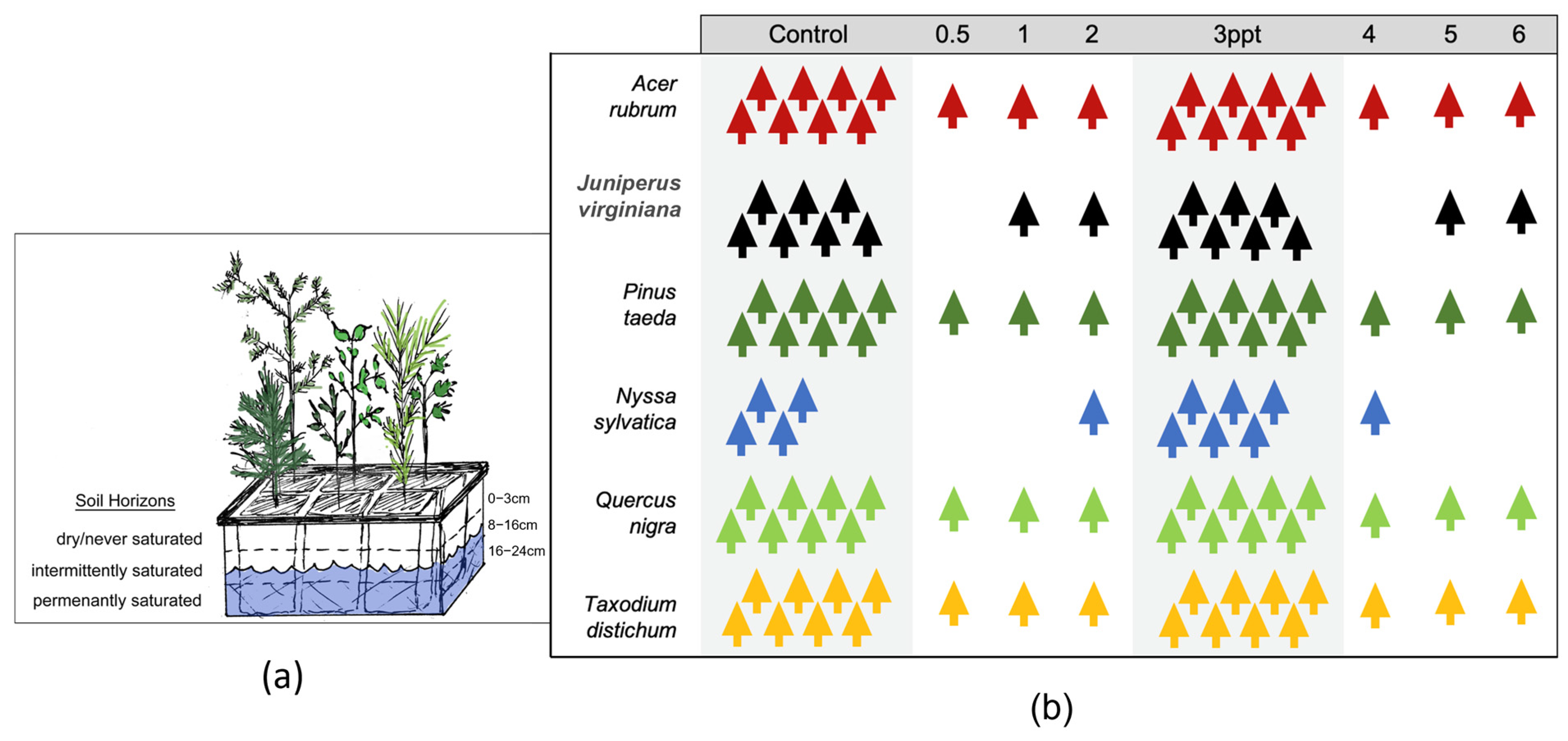 Forests 15 01638 g002