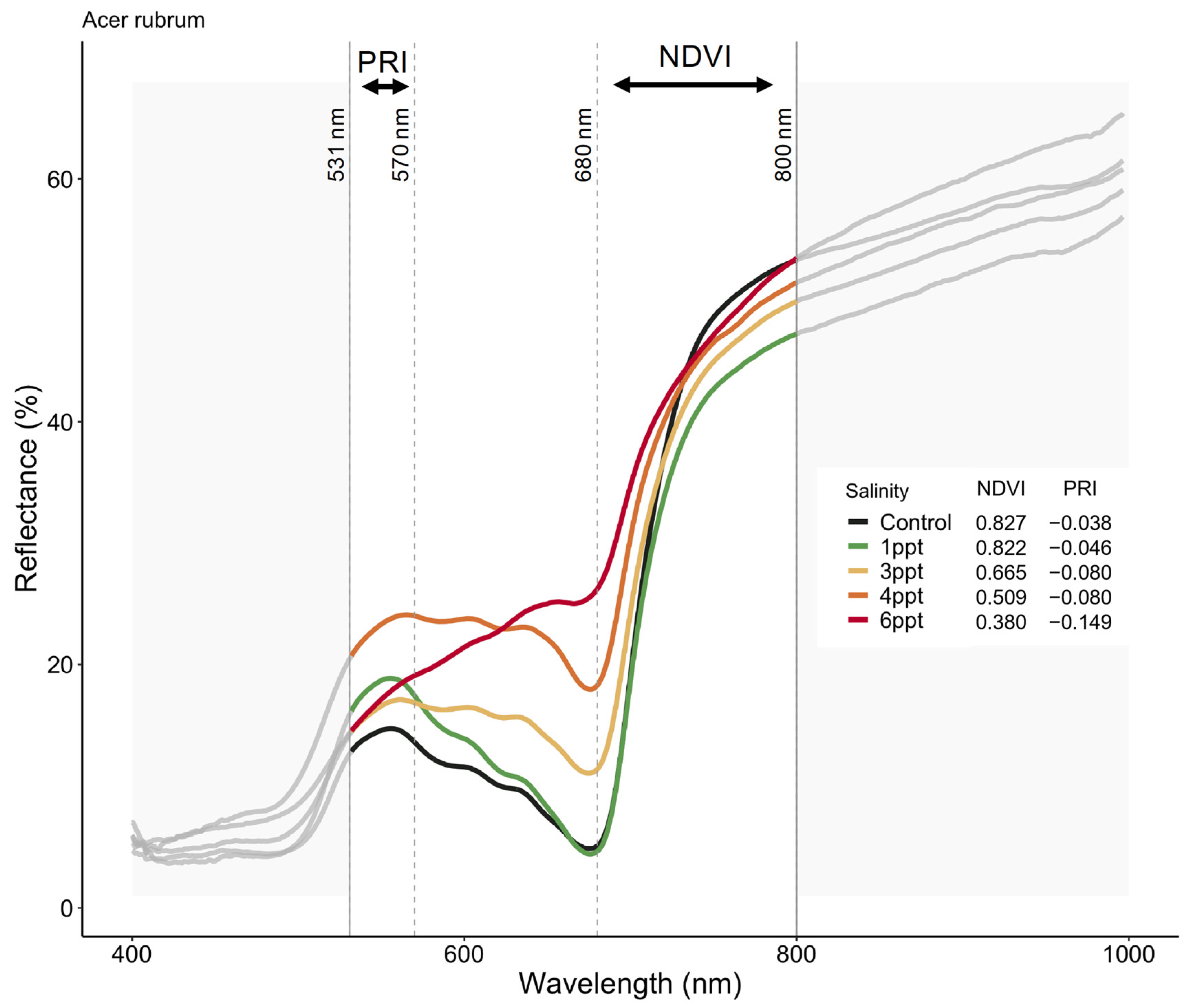 Forests 15 01638 g006