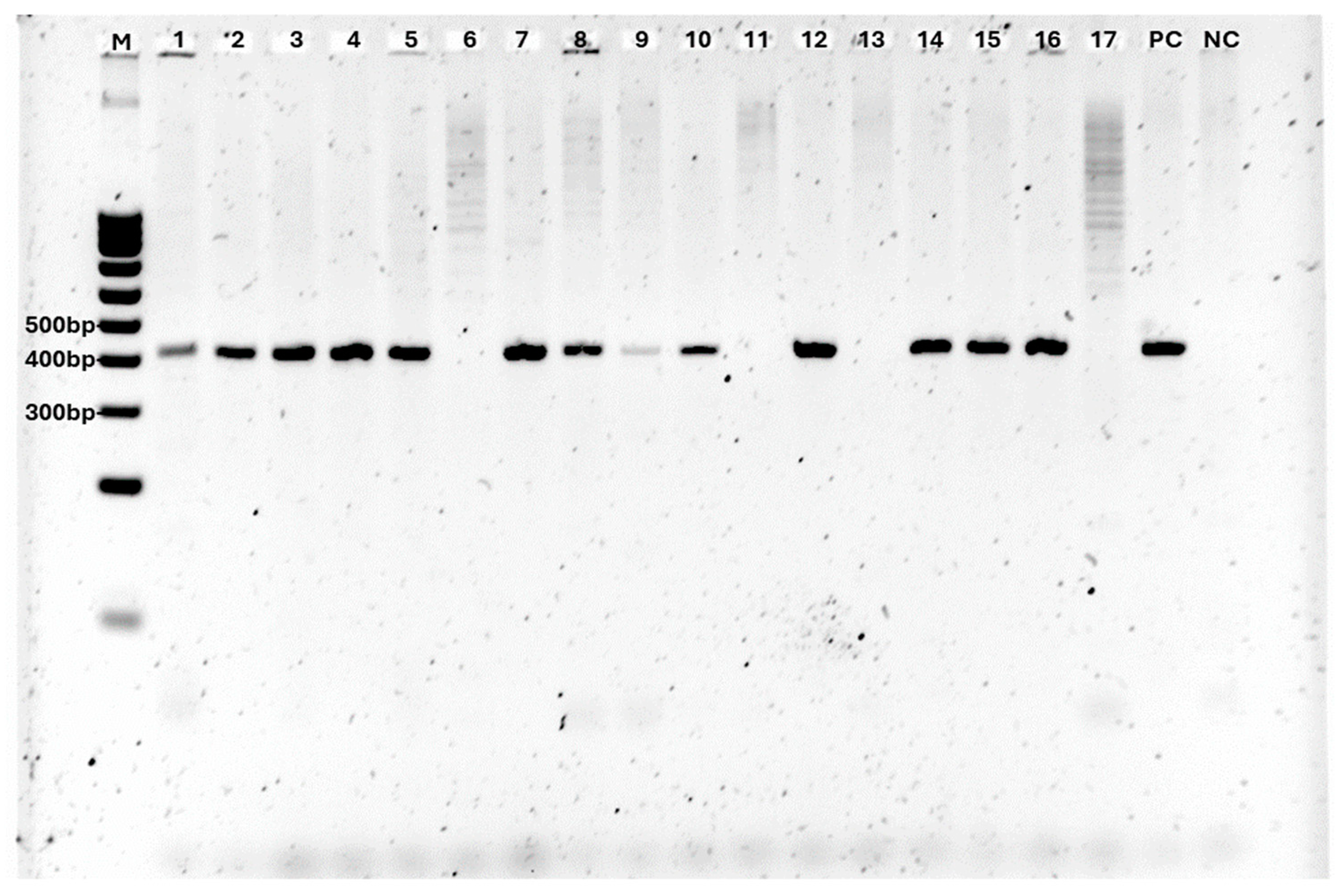 Forests 15 01639 g003 Forests 15 01639 g003