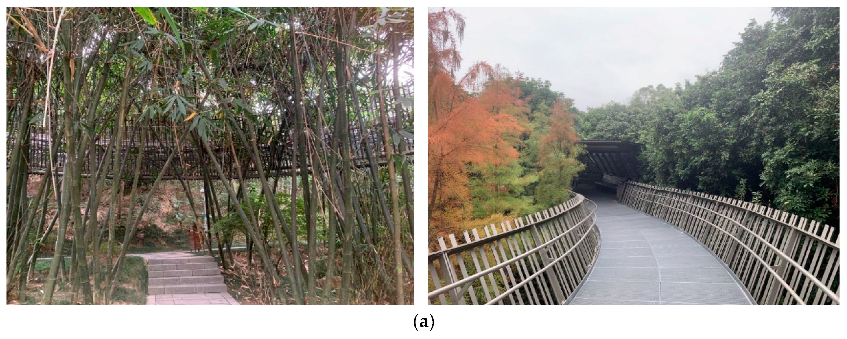 Forests 15 01640 g019a