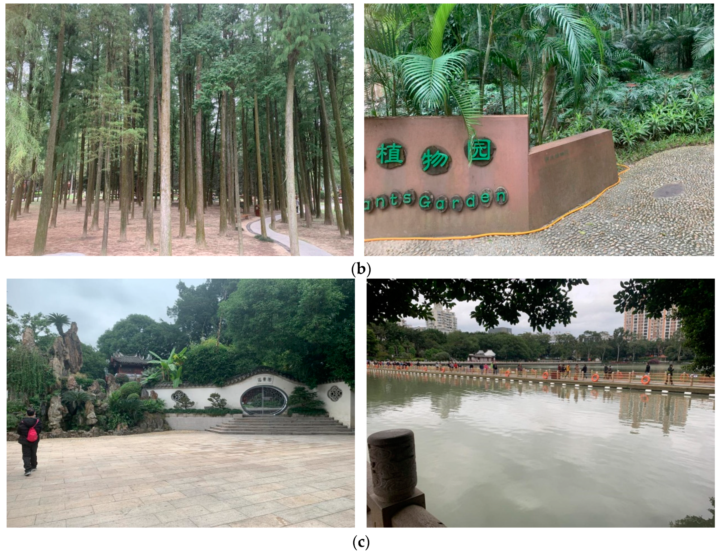 Forests 15 01640 g019b