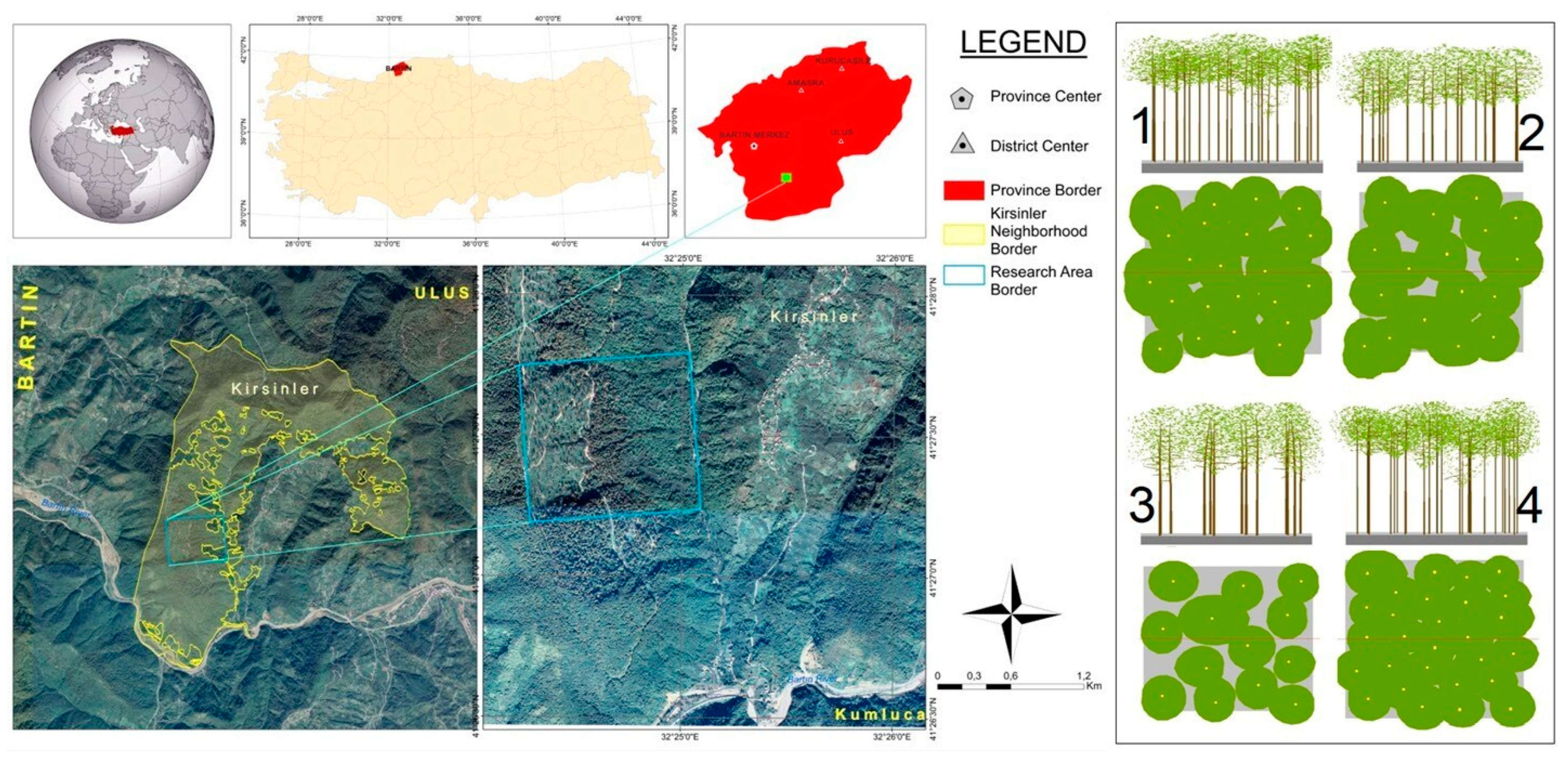 Forests 15 01643 g001