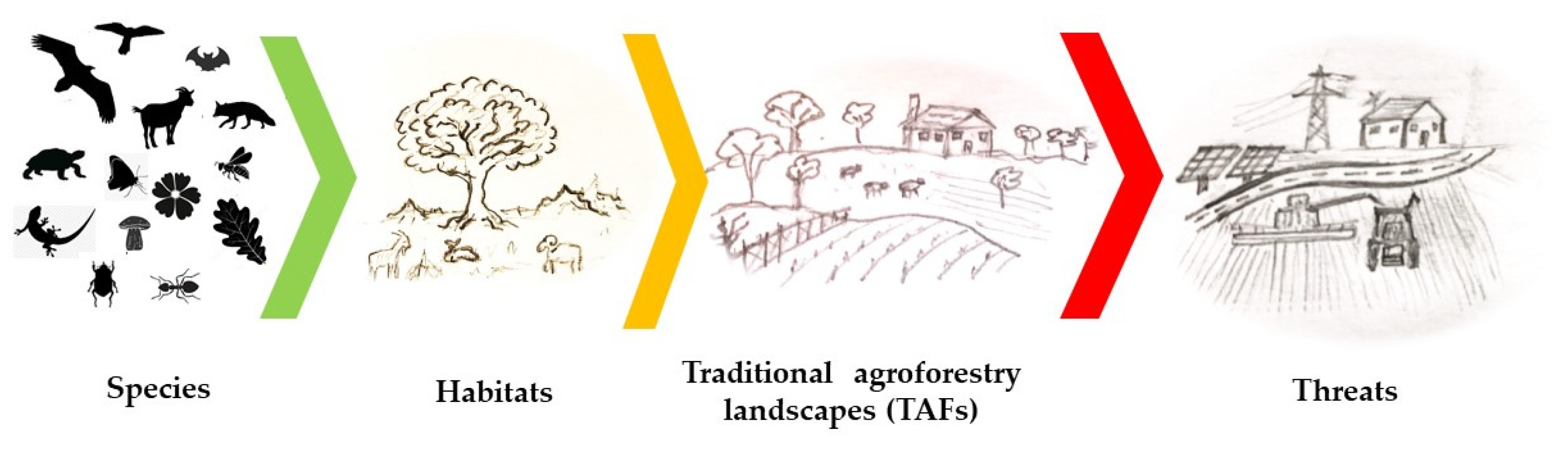 Forests 15 01648 g001