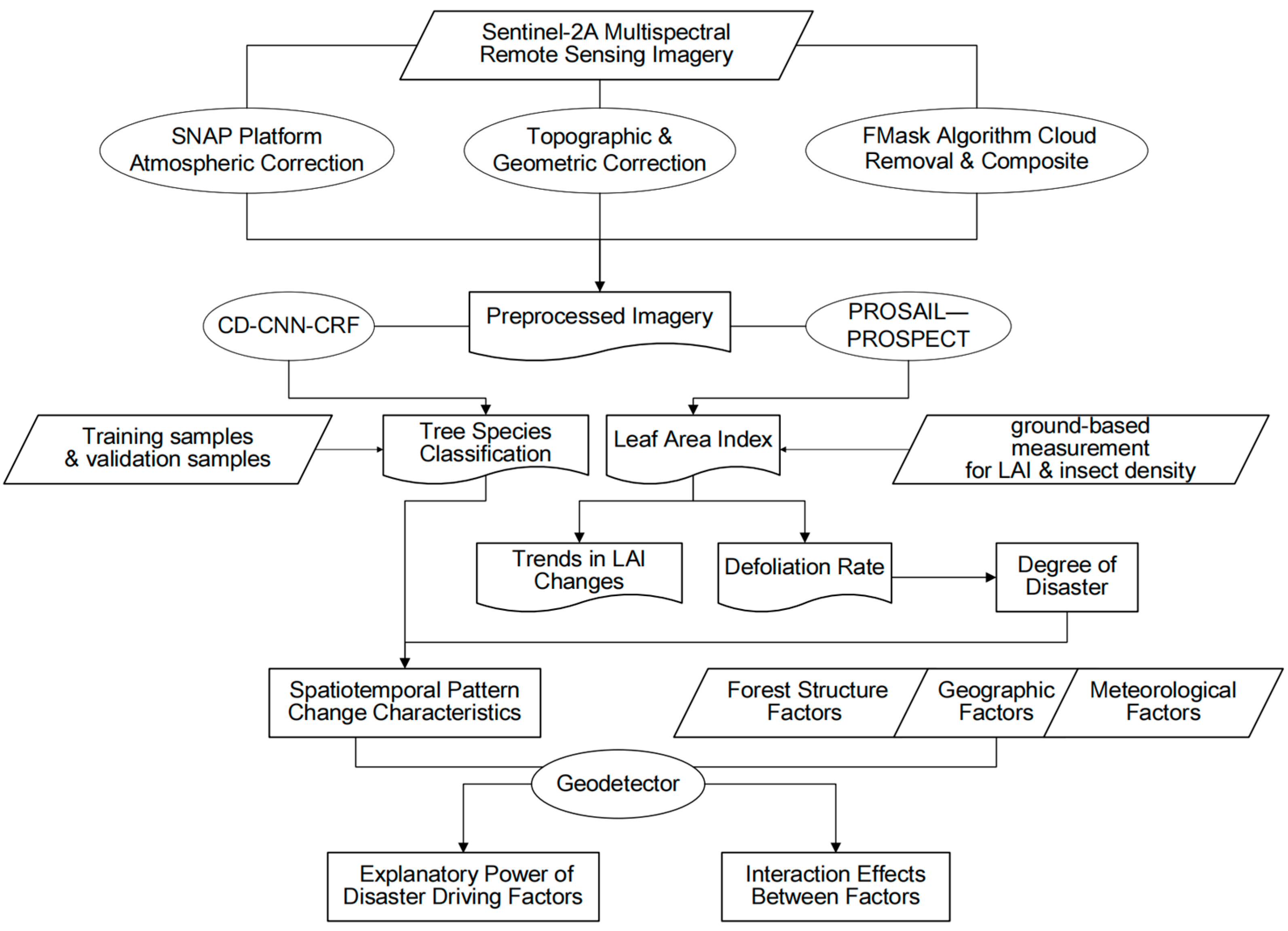 Forests 15 01650 g002