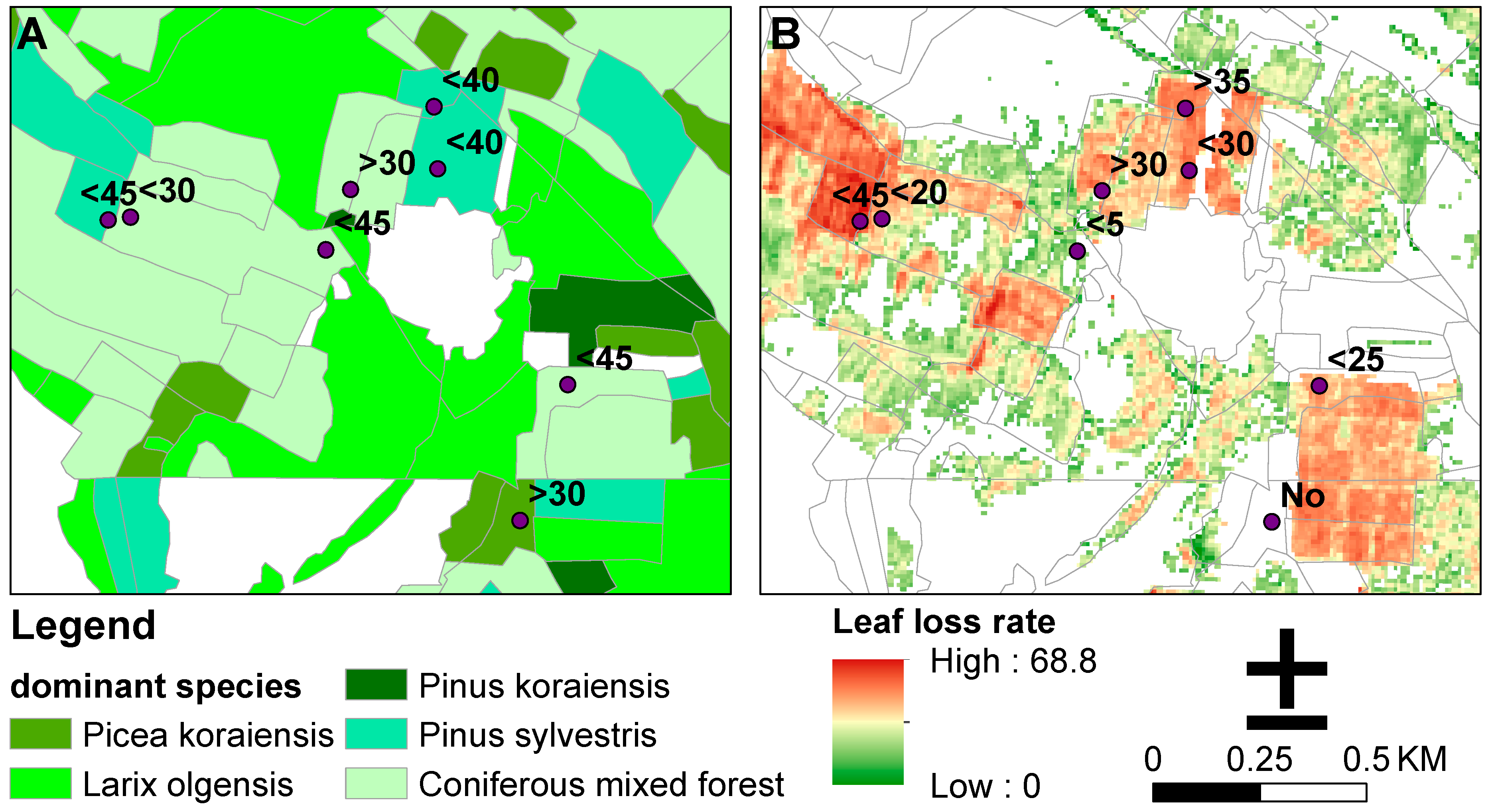 Forests 15 01650 g010