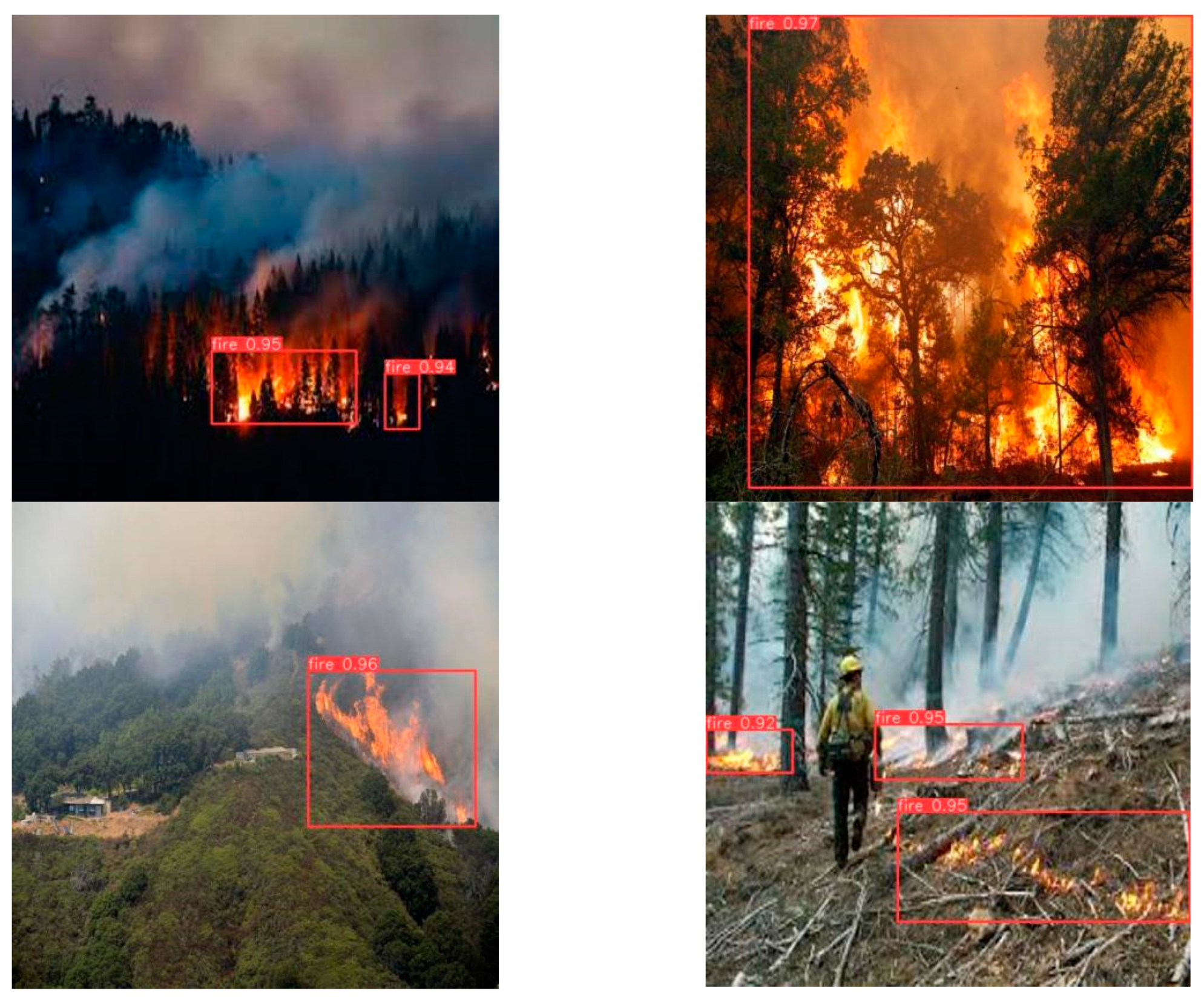 Forests 15 01652 g013