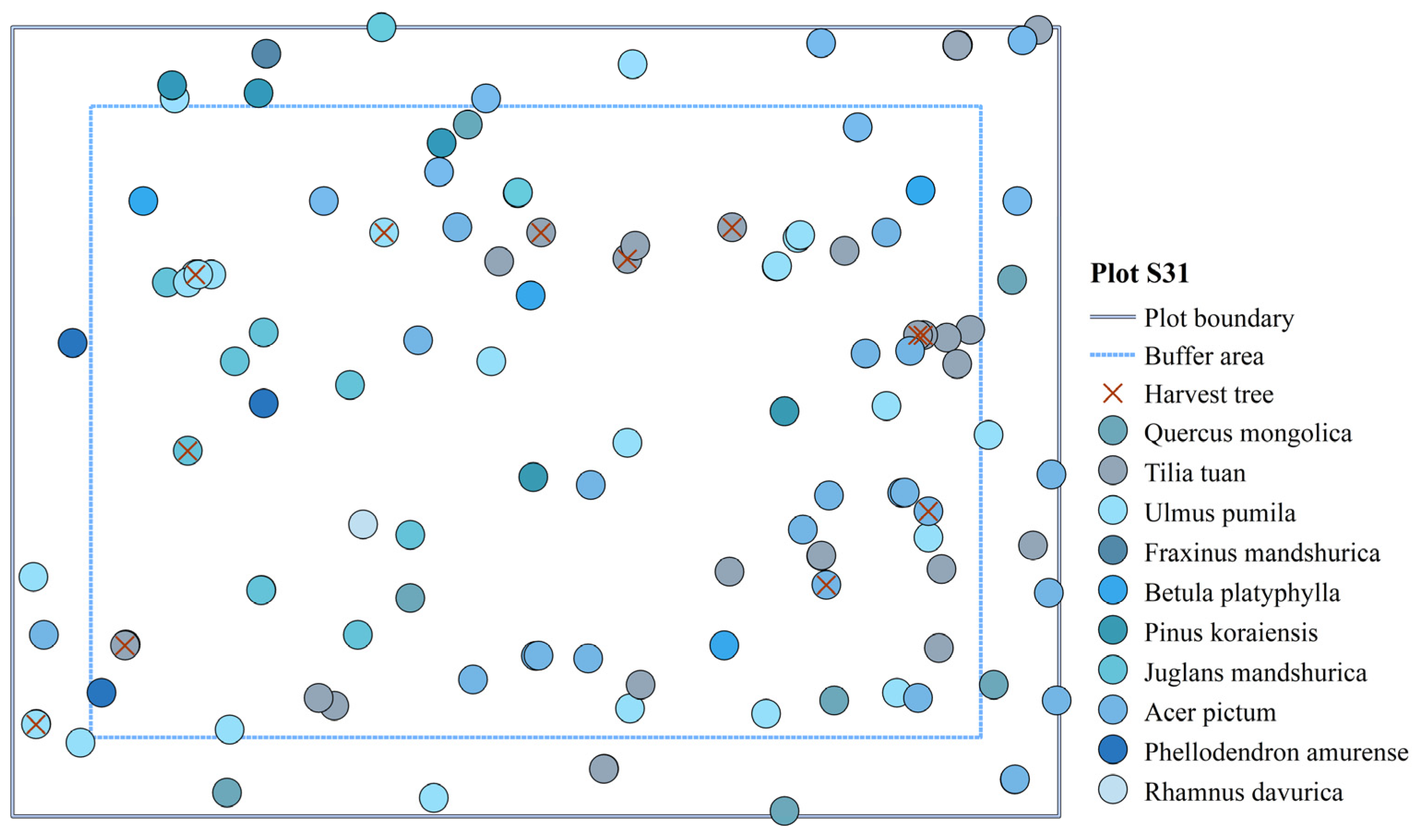Forests 15 01653 g005