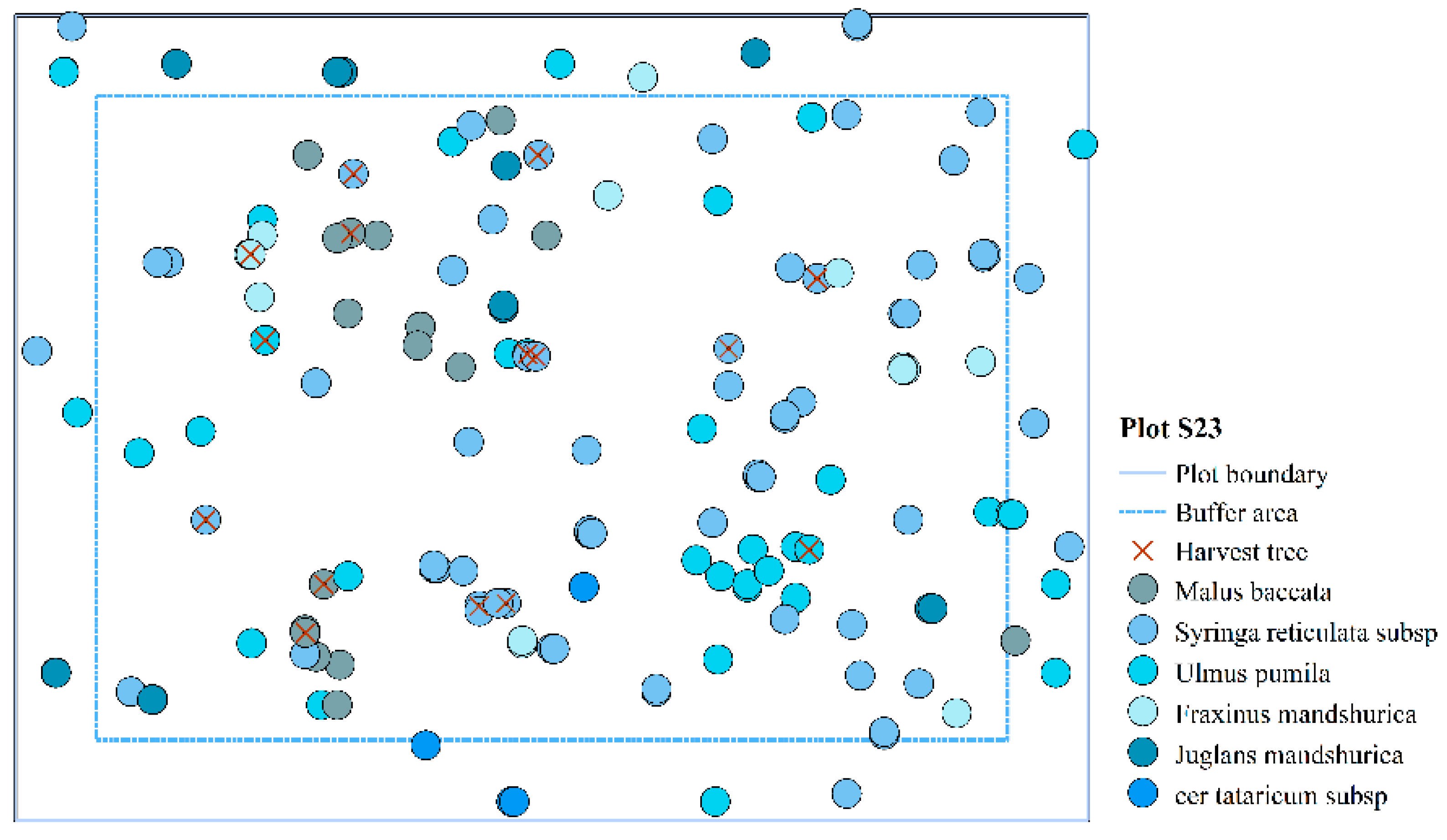 Forests 15 01653 g006