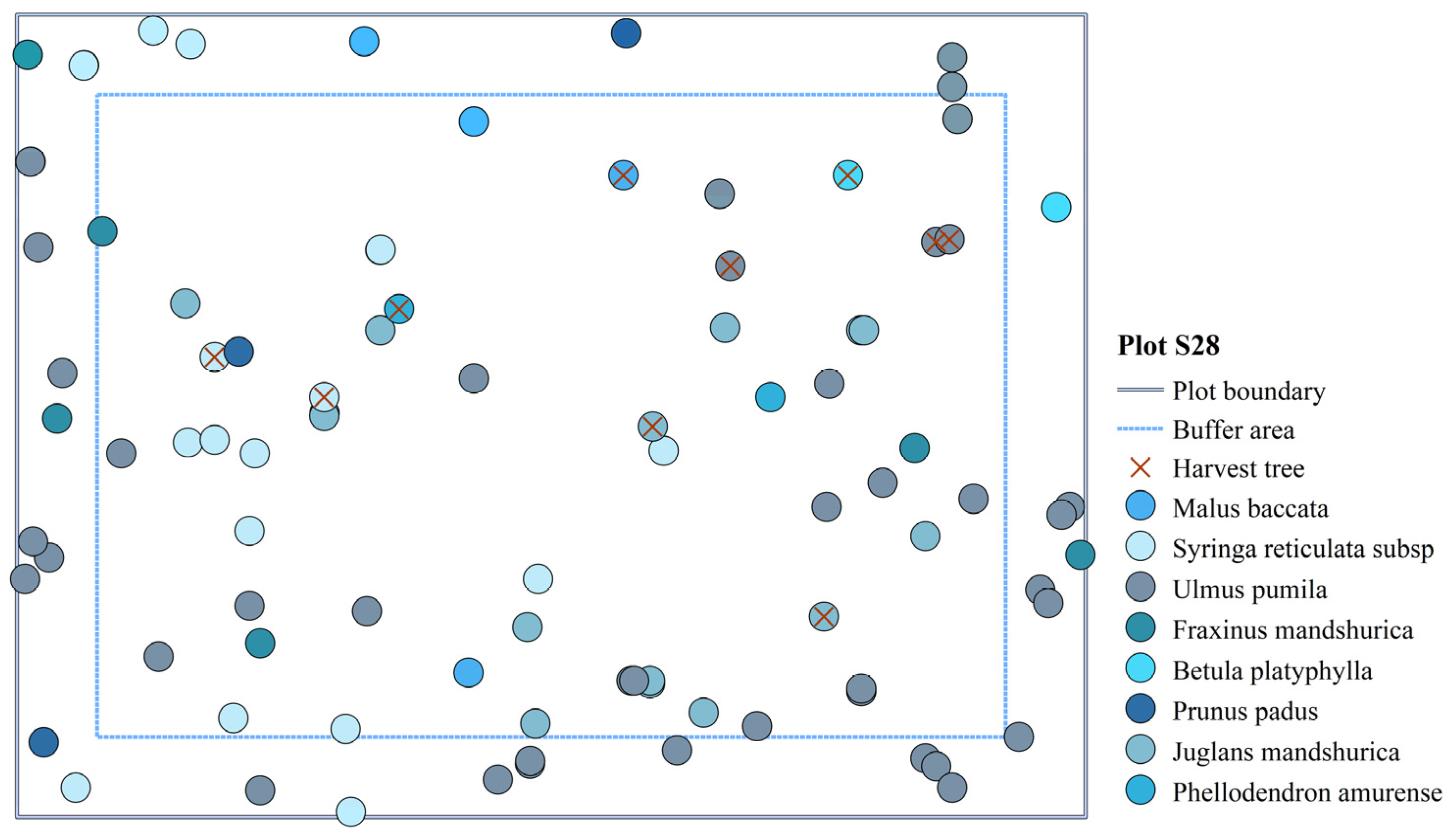 Forests 15 01653 g007