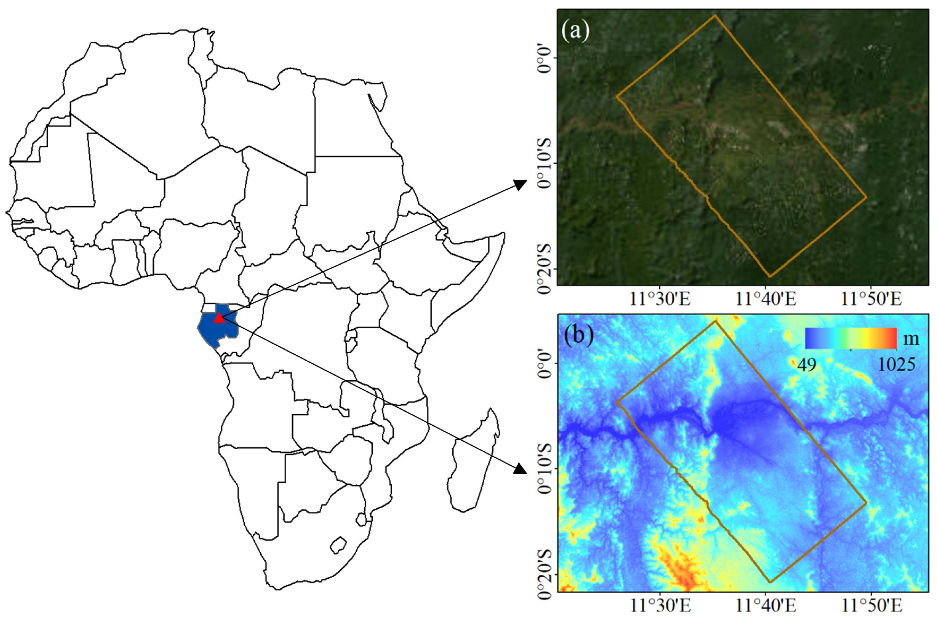 Forests 15 01654 g002