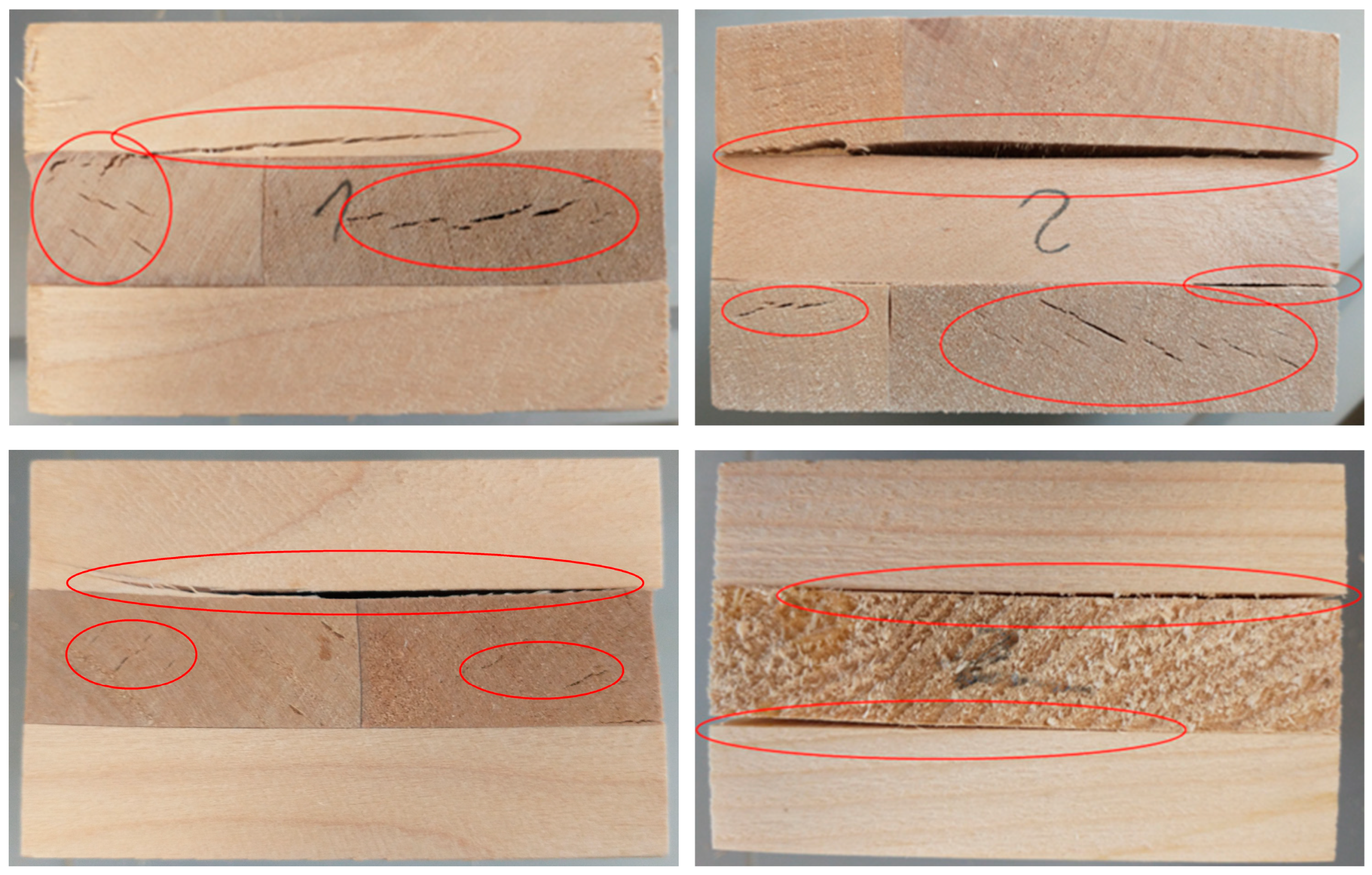 Forests 15 01656 g007