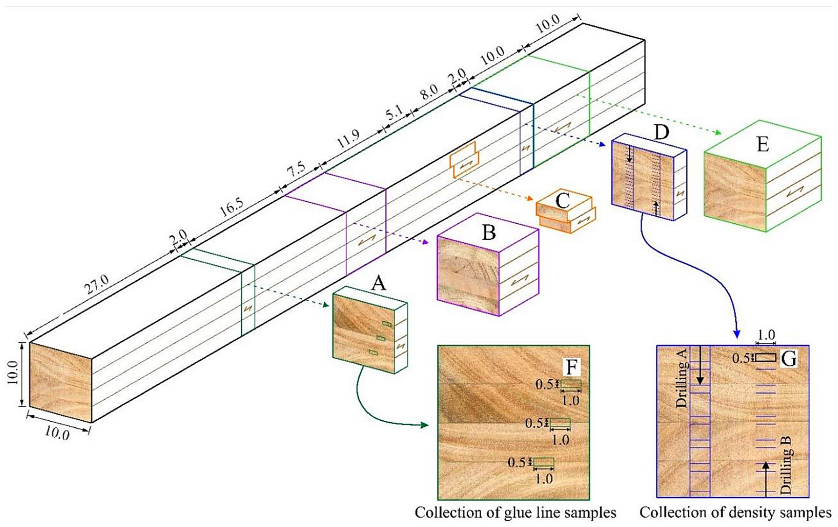 Forests 15 01658 g001 Forests 15 01658 g001
