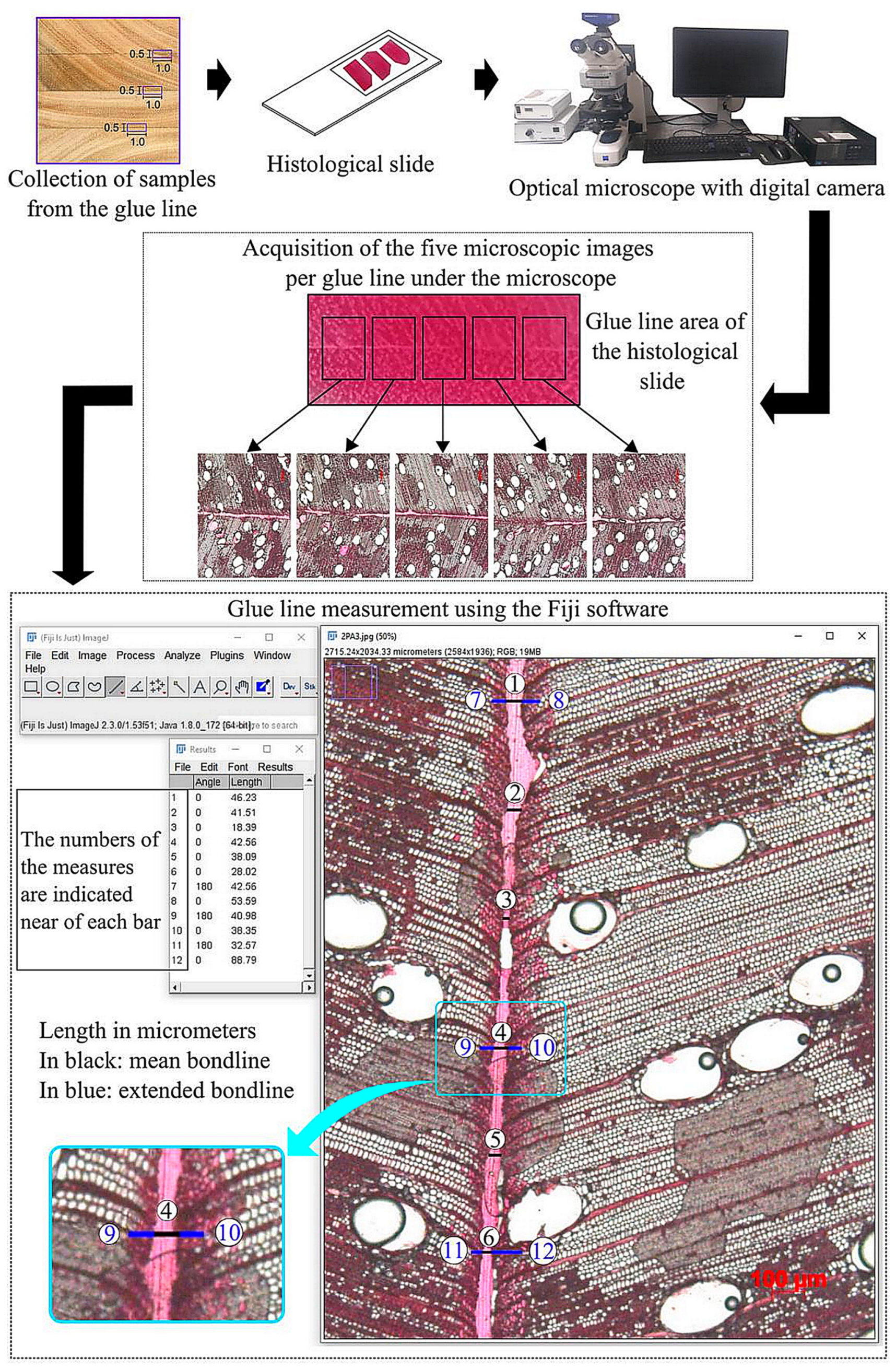 Forests 15 01658 g002 Forests 15 01658 g002