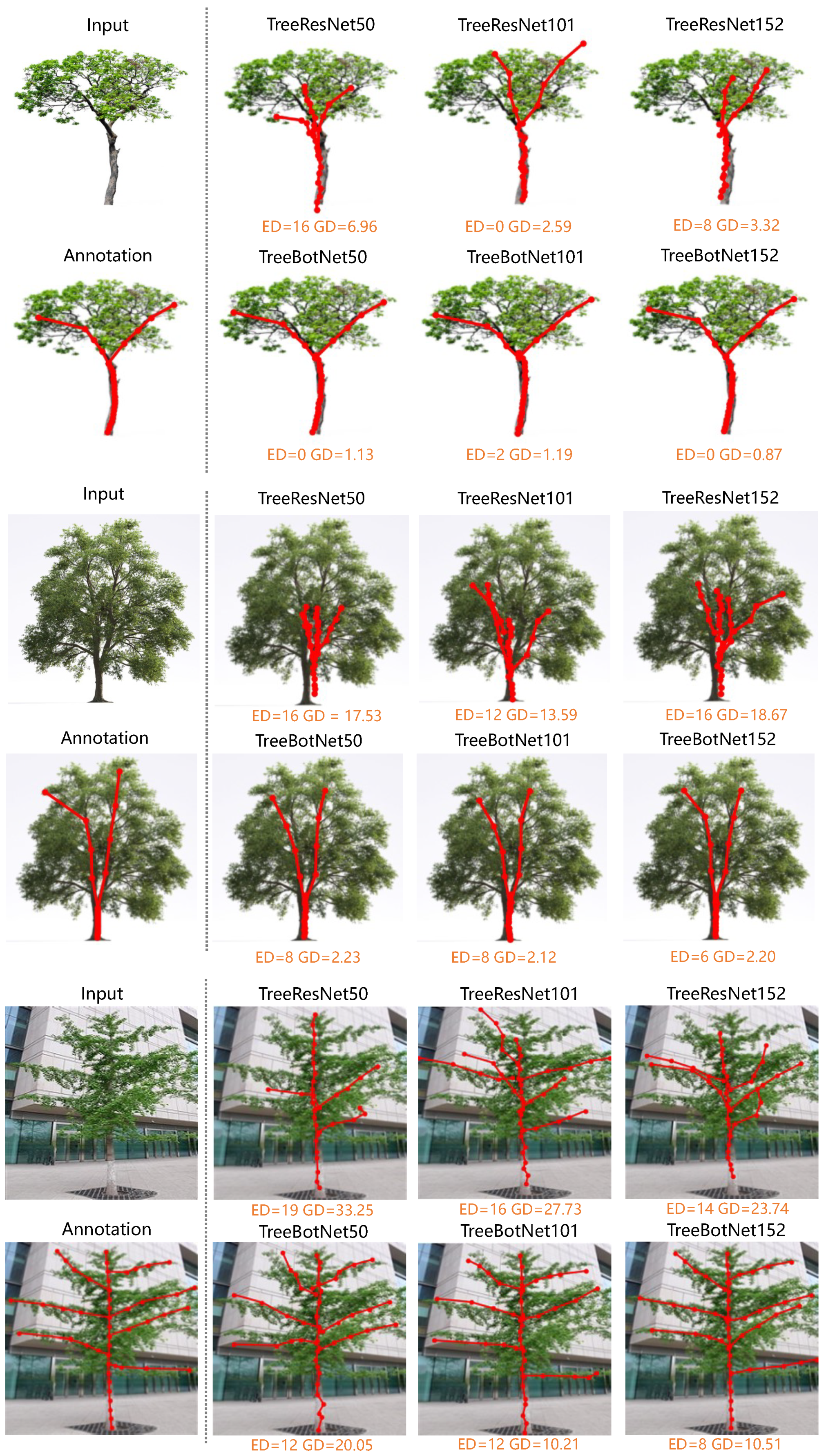 Forests 15 01659 g011