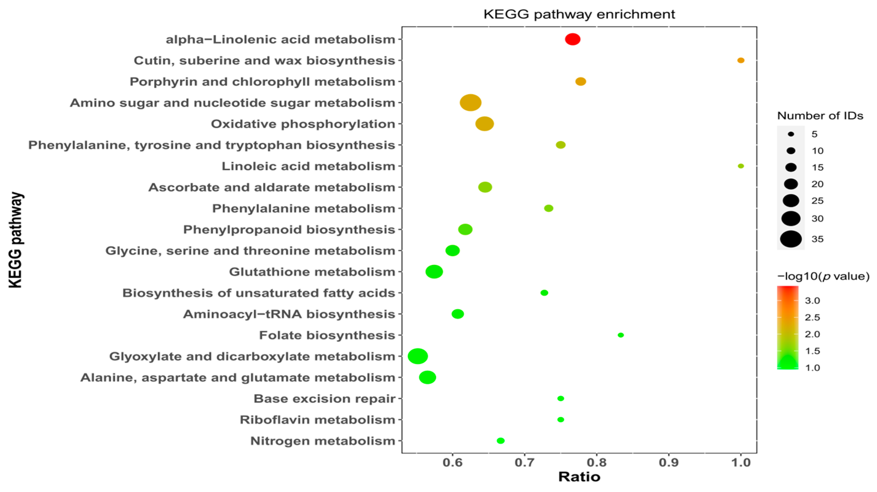 Forests 15 01661 g008