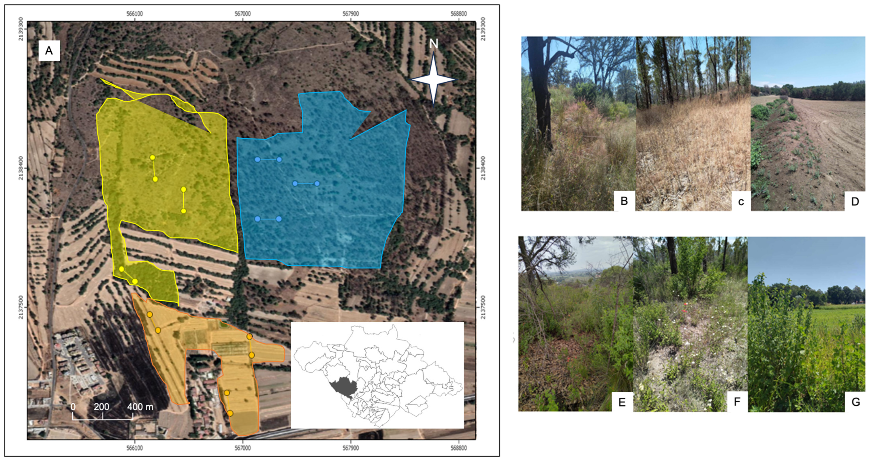 Forests 15 01668 g001