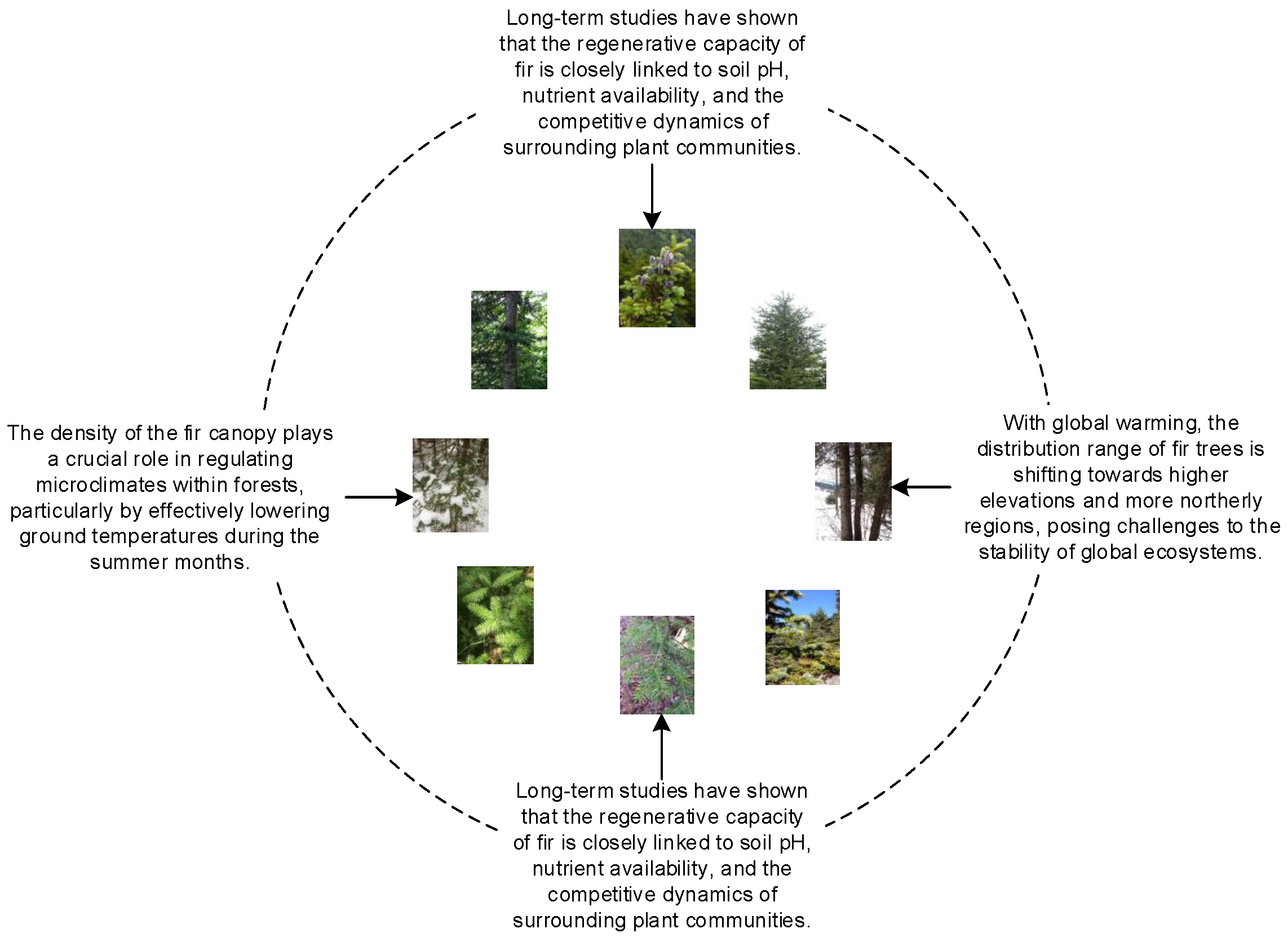 Forests 15 01670 g004