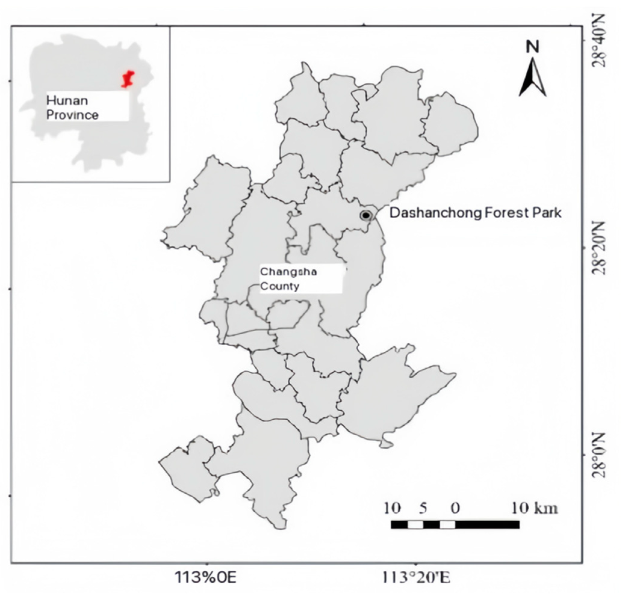 Enhanced Foliar Litter Decomposition Rate of Pinus
