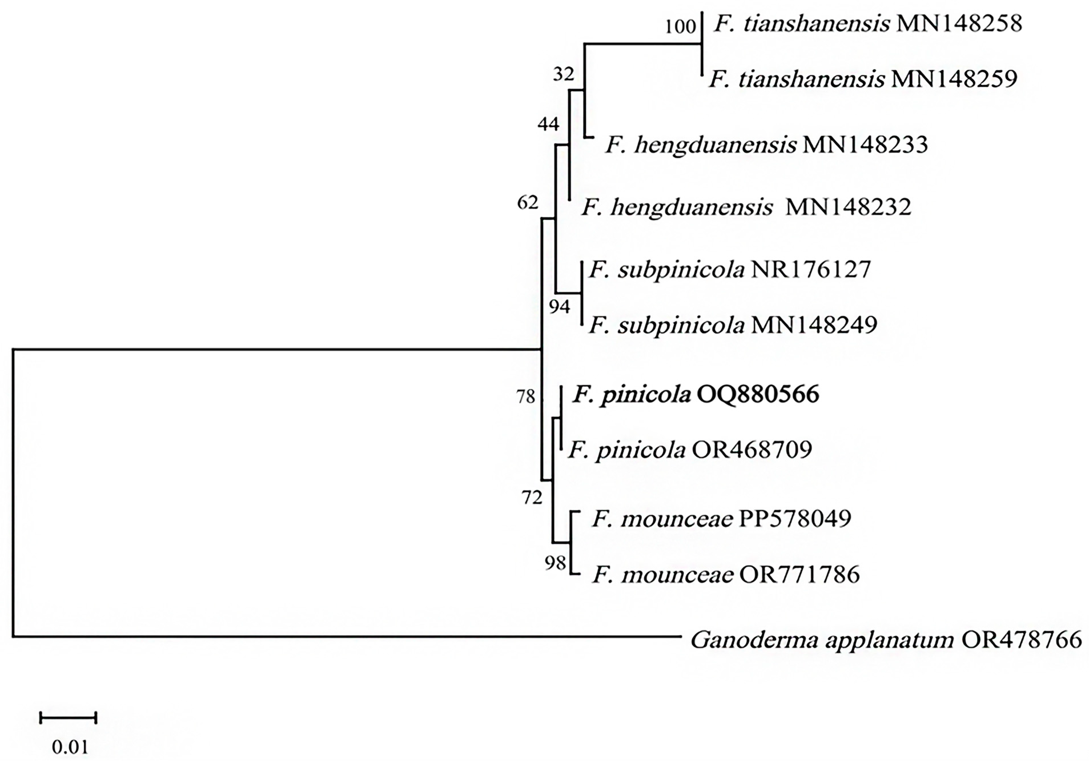 Forests 15 01673 g001