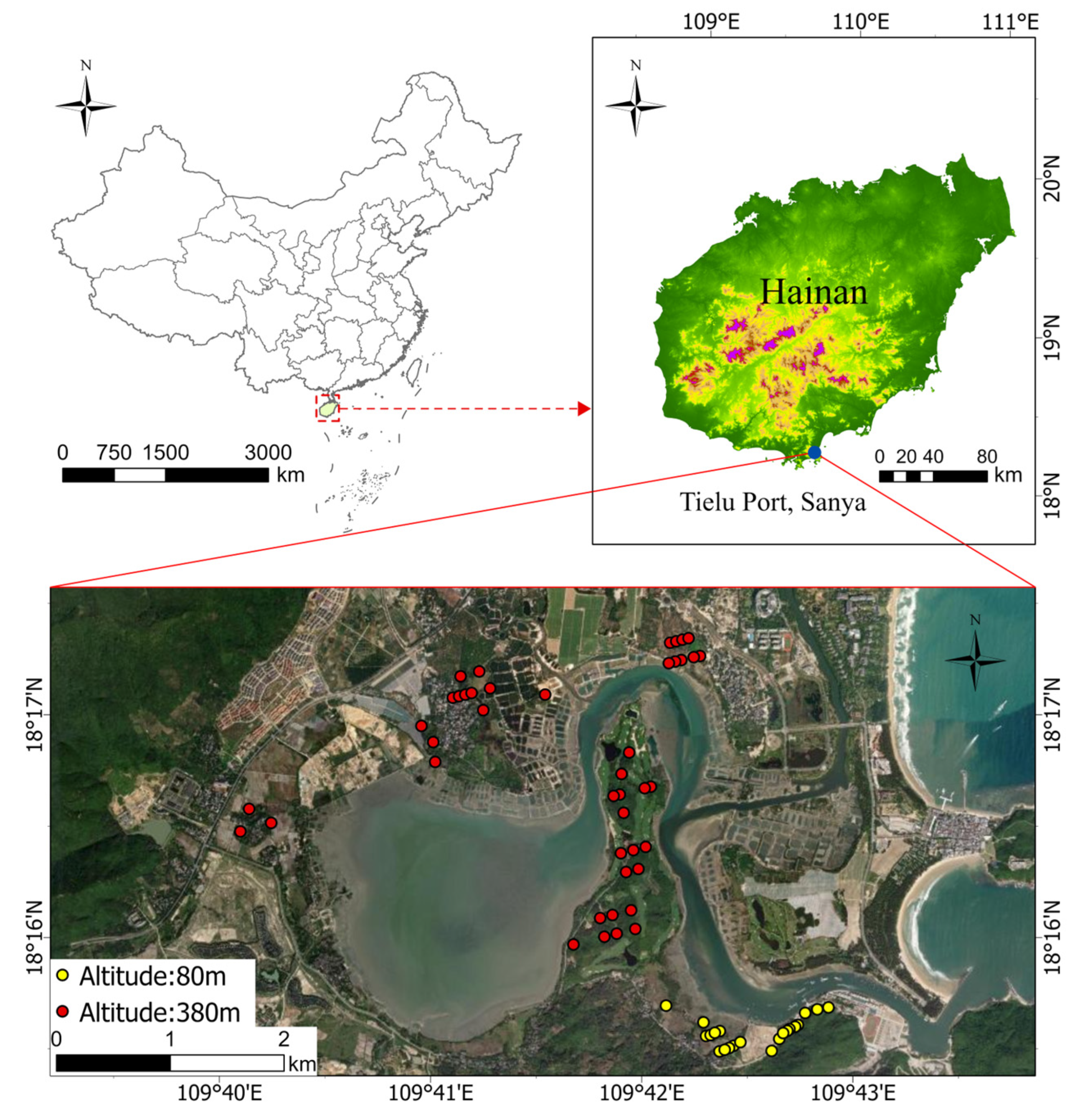 Forests 15 01676 g001